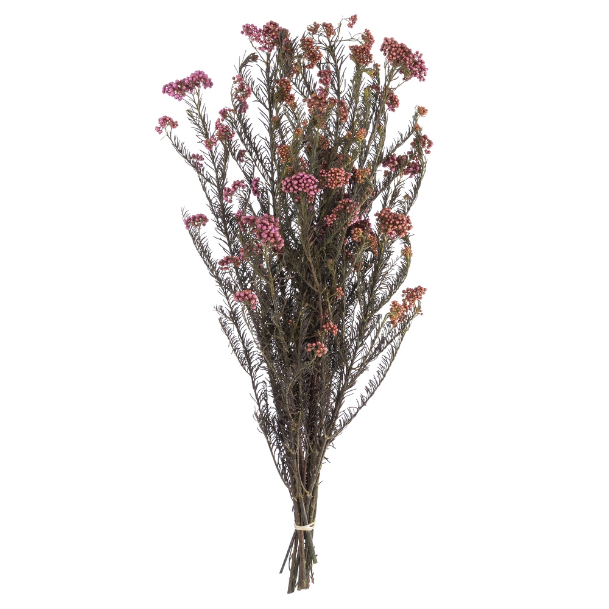 16” Purple Orchid Rice Flower Bu 9.5oz