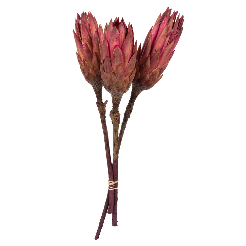 Vickerman 8-12” Erica Pink Repens Nat Stem 180/Cs - H1REP400