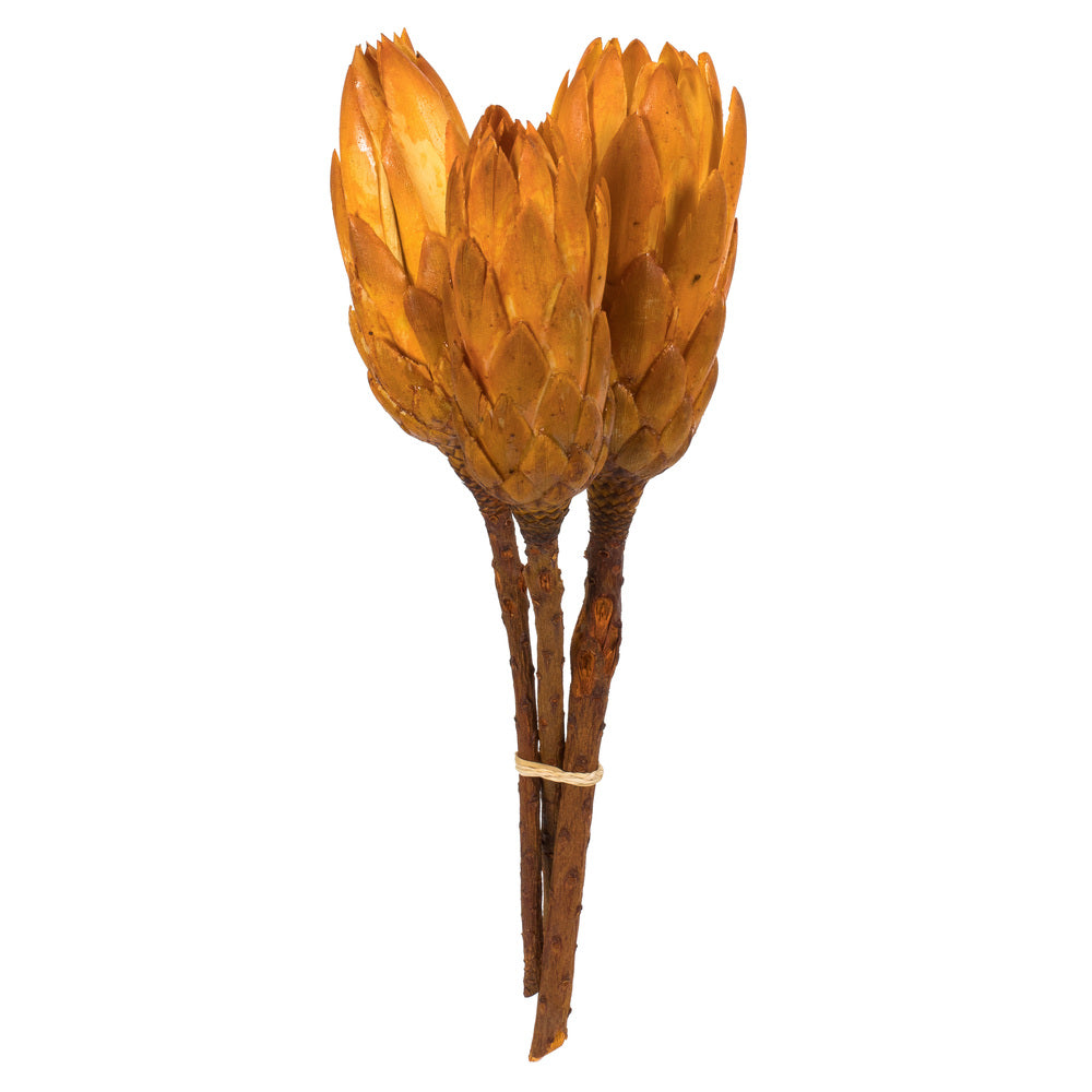 Vickerman 8-12” Aspen Gold Repens Nat Stem 180/Cs - H1REP725