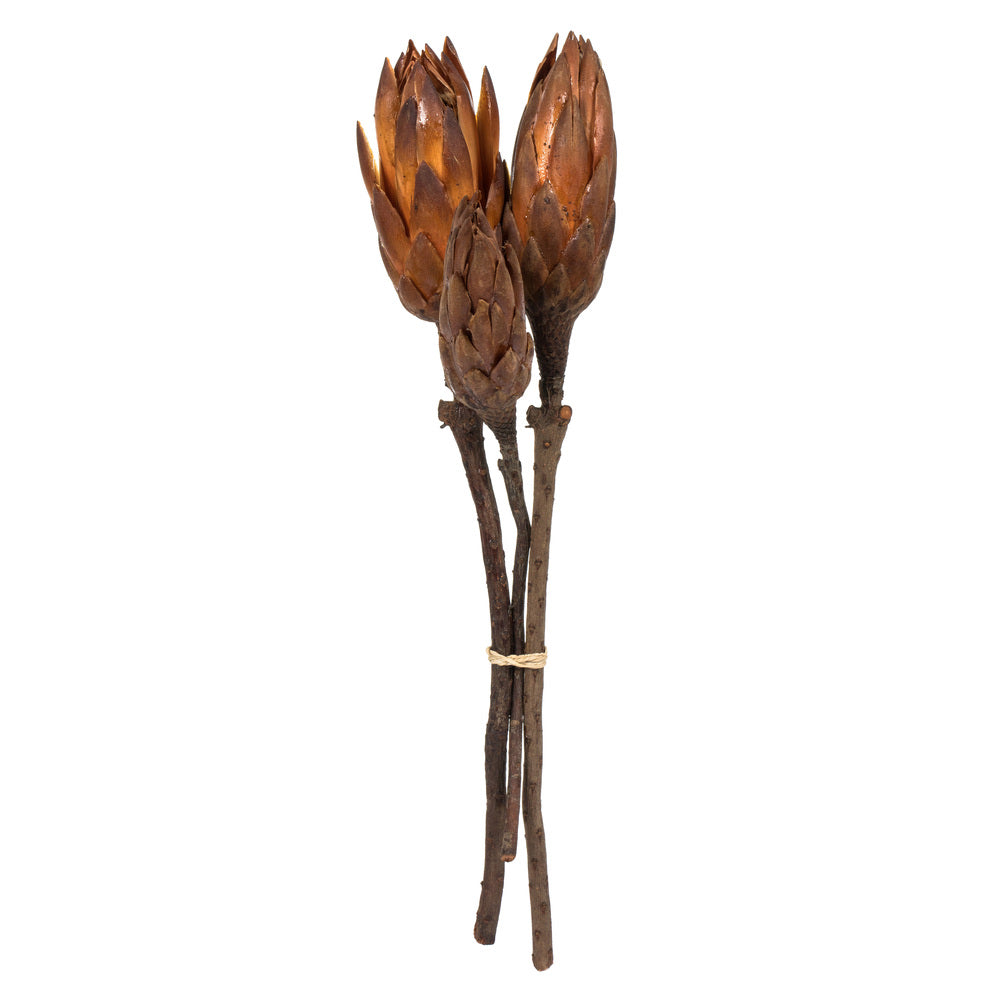 Vickerman 8-12” Mocha Latte Repens Nat Stem 180/Cs - H1REP800