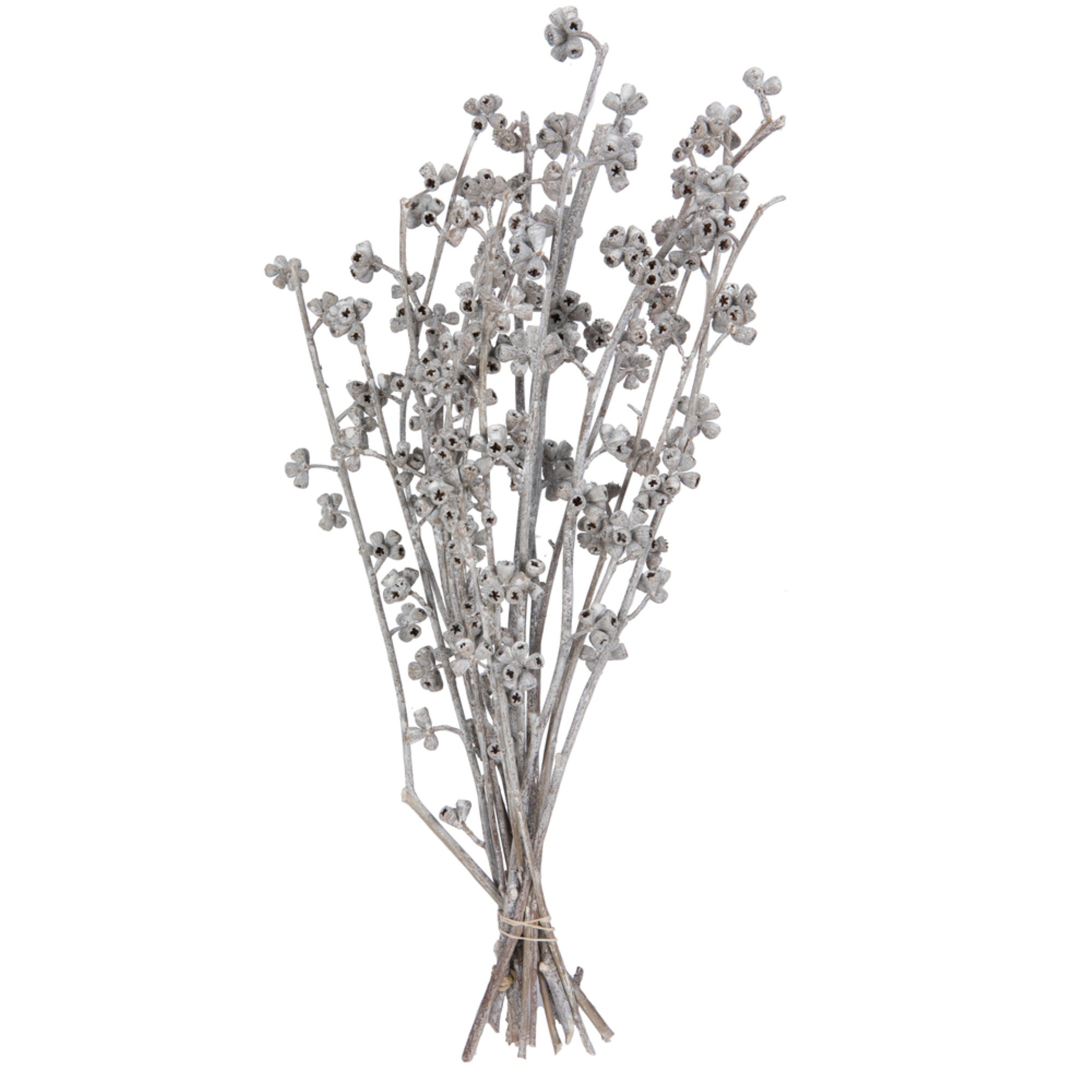 Vickerman Natural Botanicals 13” x 1-3” Red Gum Branch White Washed 14 stems per unit
