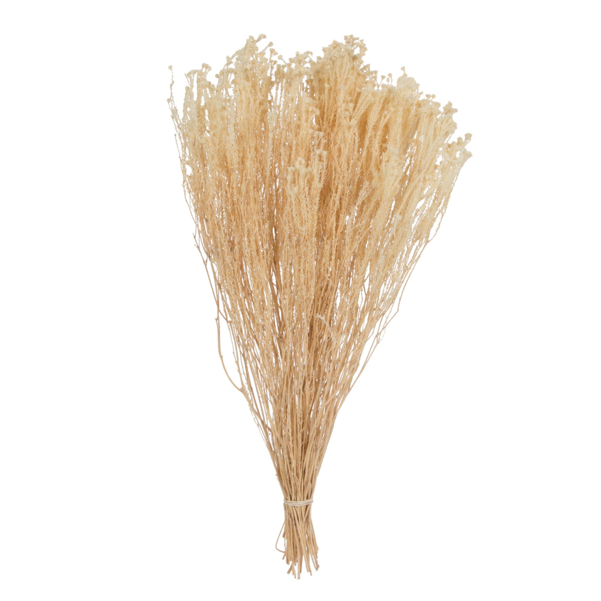 19”x4” Staavia Bleached 3.5oz Bunch