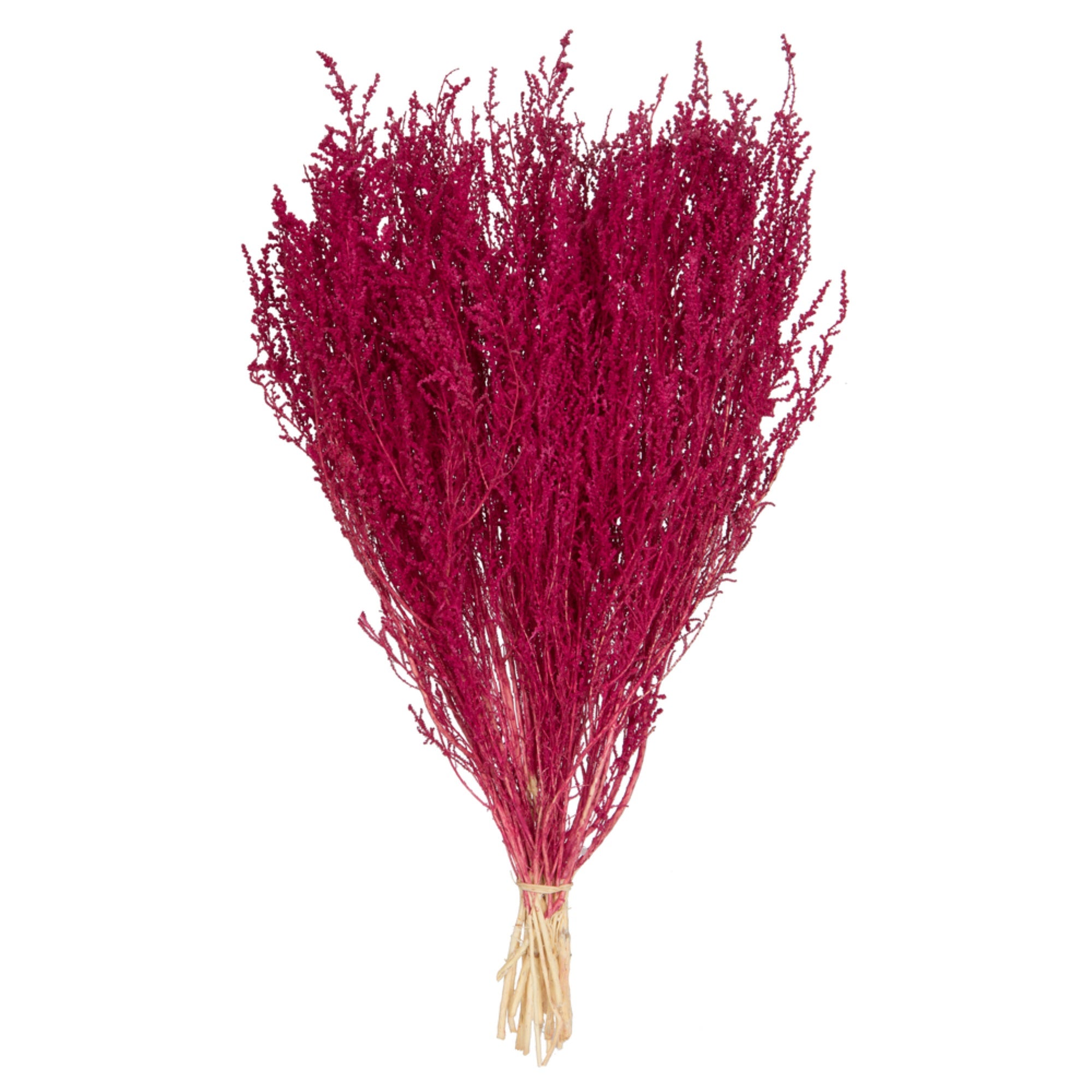 14-18” Raspberry Stoebe 5oz Bundle