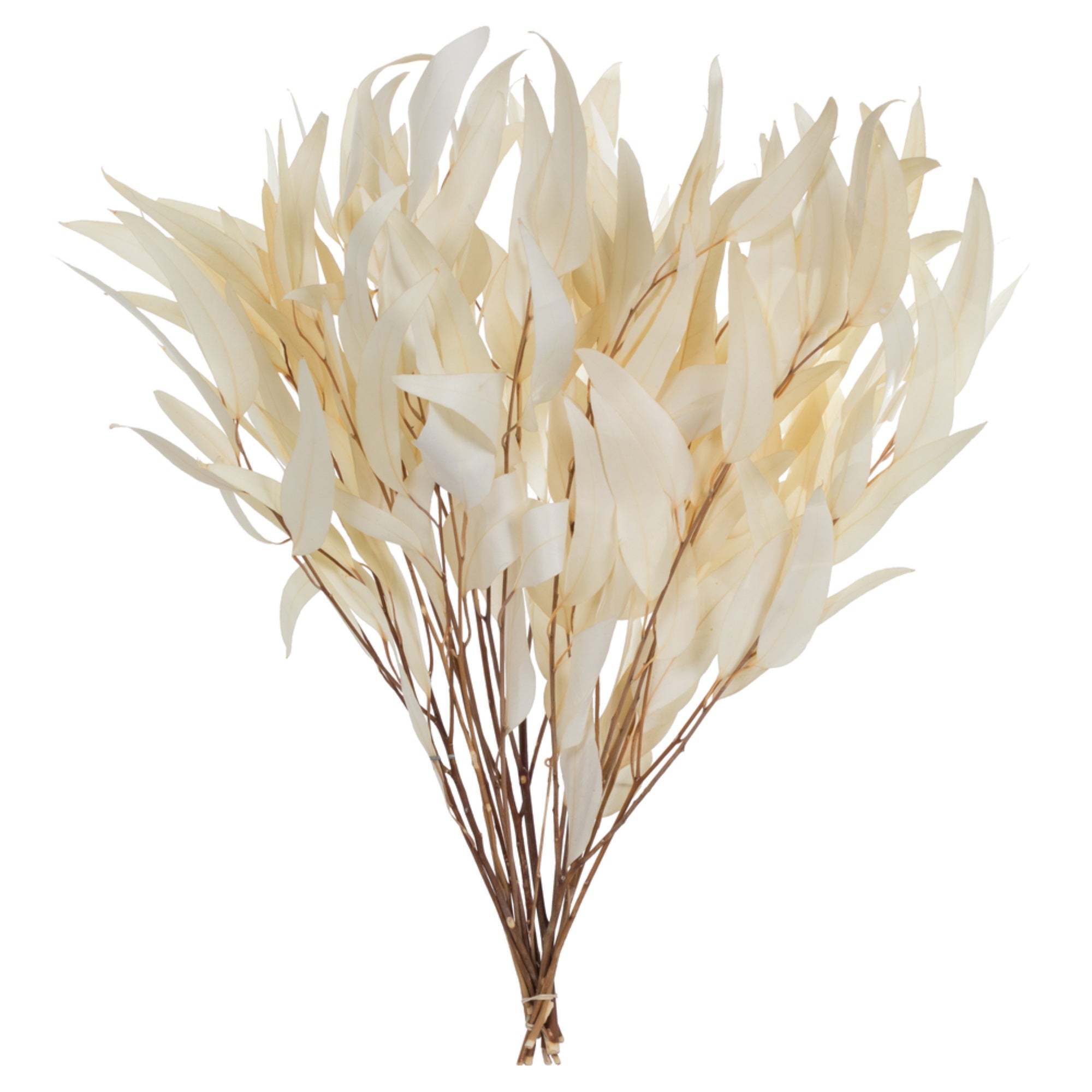 18” Bleached Willow Eucalyptus 3.5oz Bun