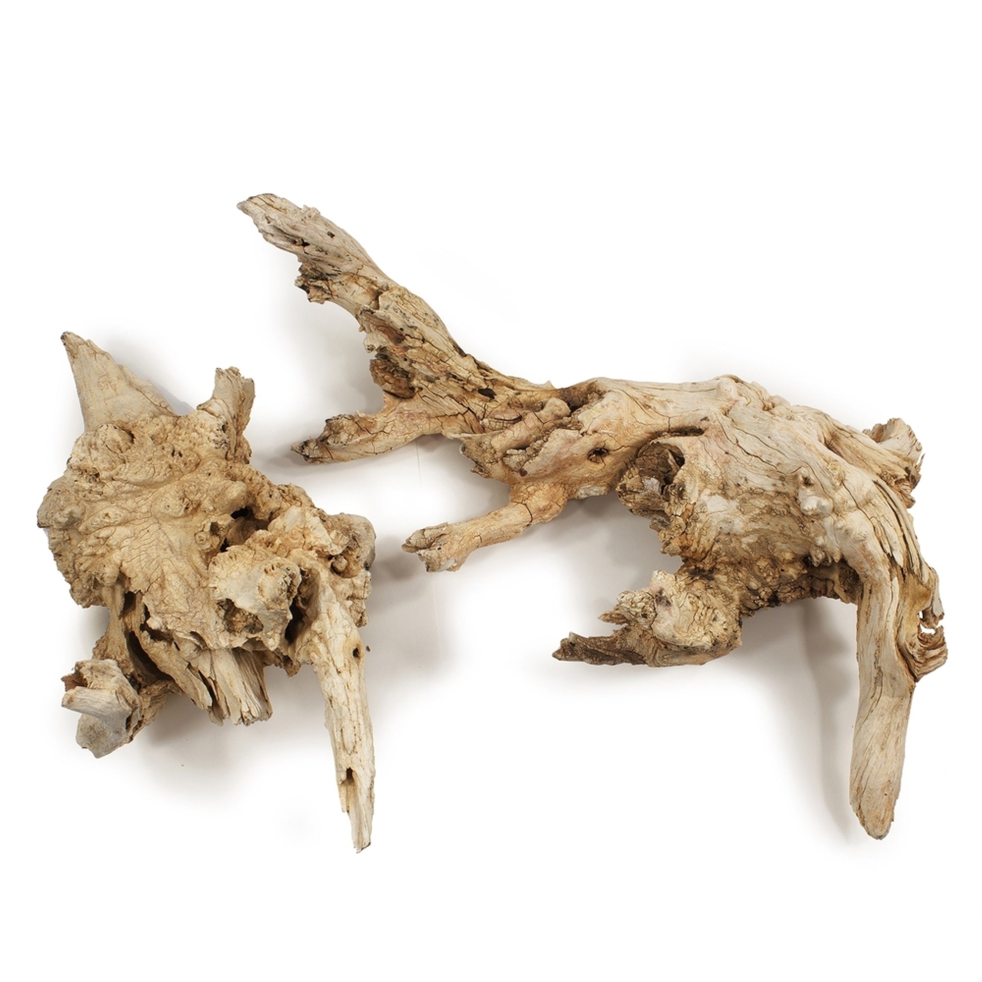 14-16” Bleached Amazonian Root Med 1Pc