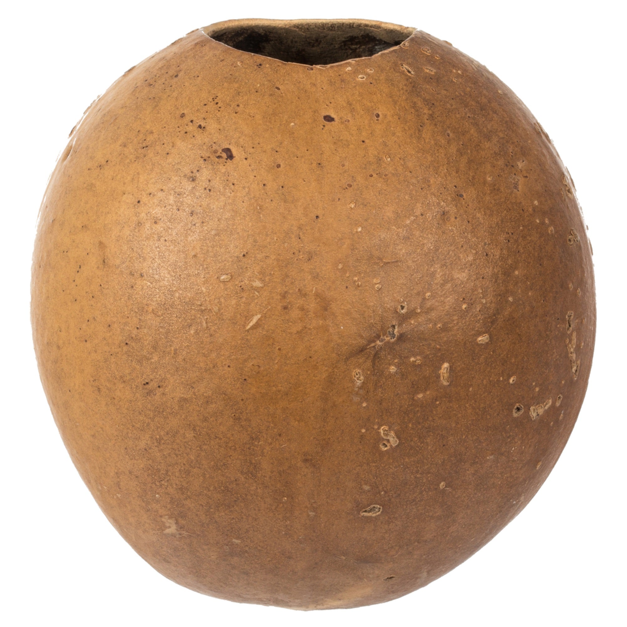 6-7″ x 6-8″ Natural Bacacuia Gourd 3Pk