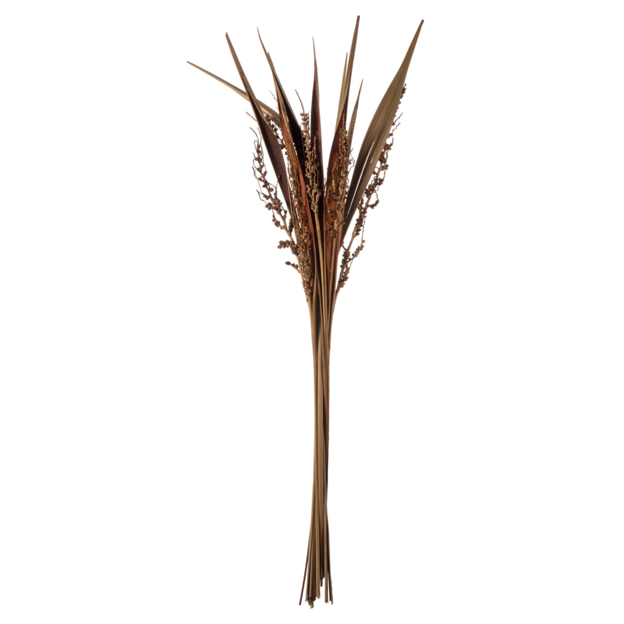 36” Natural Bahia Spears 18pc Bunch