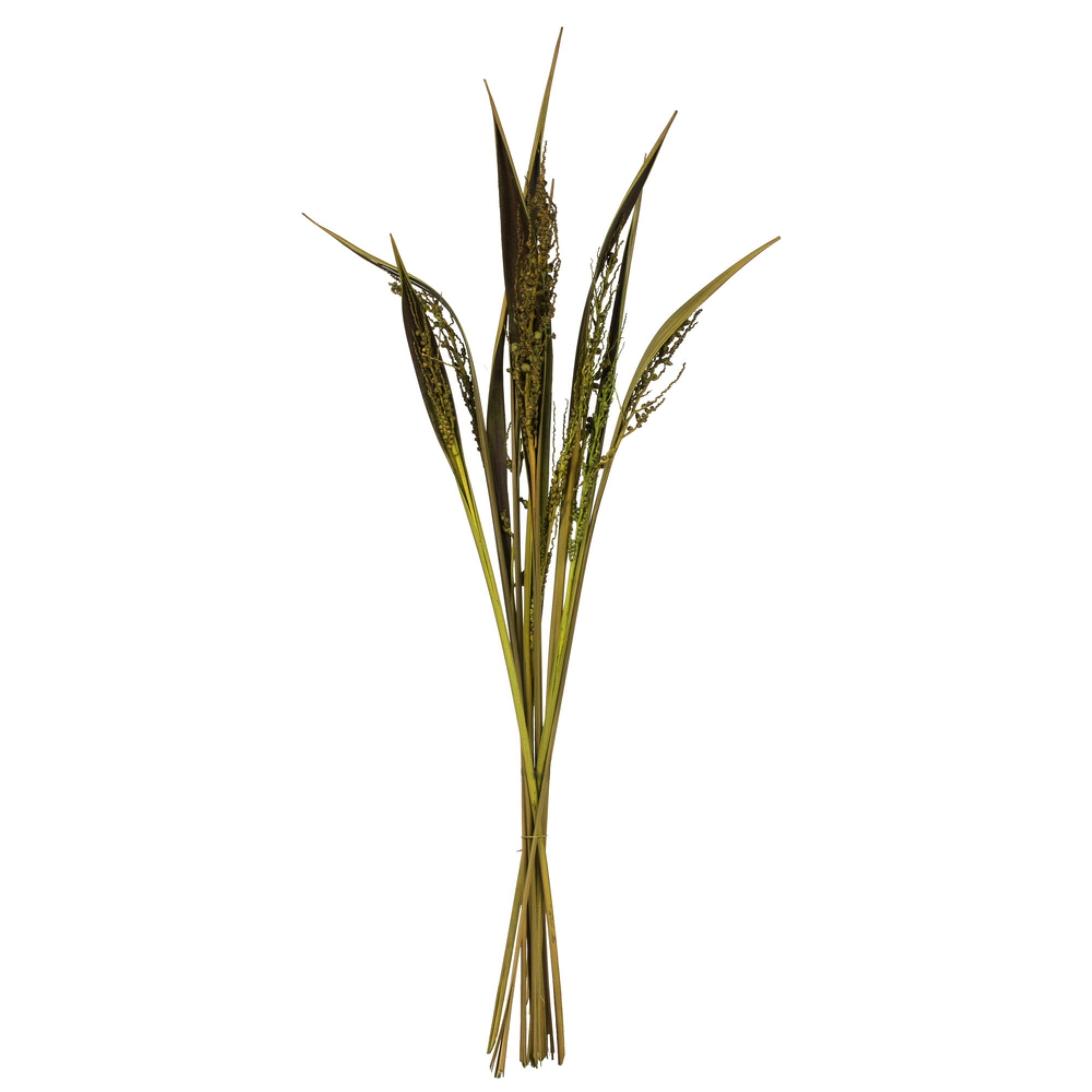 36” Basil Bahia Spears 9pc  Bunch