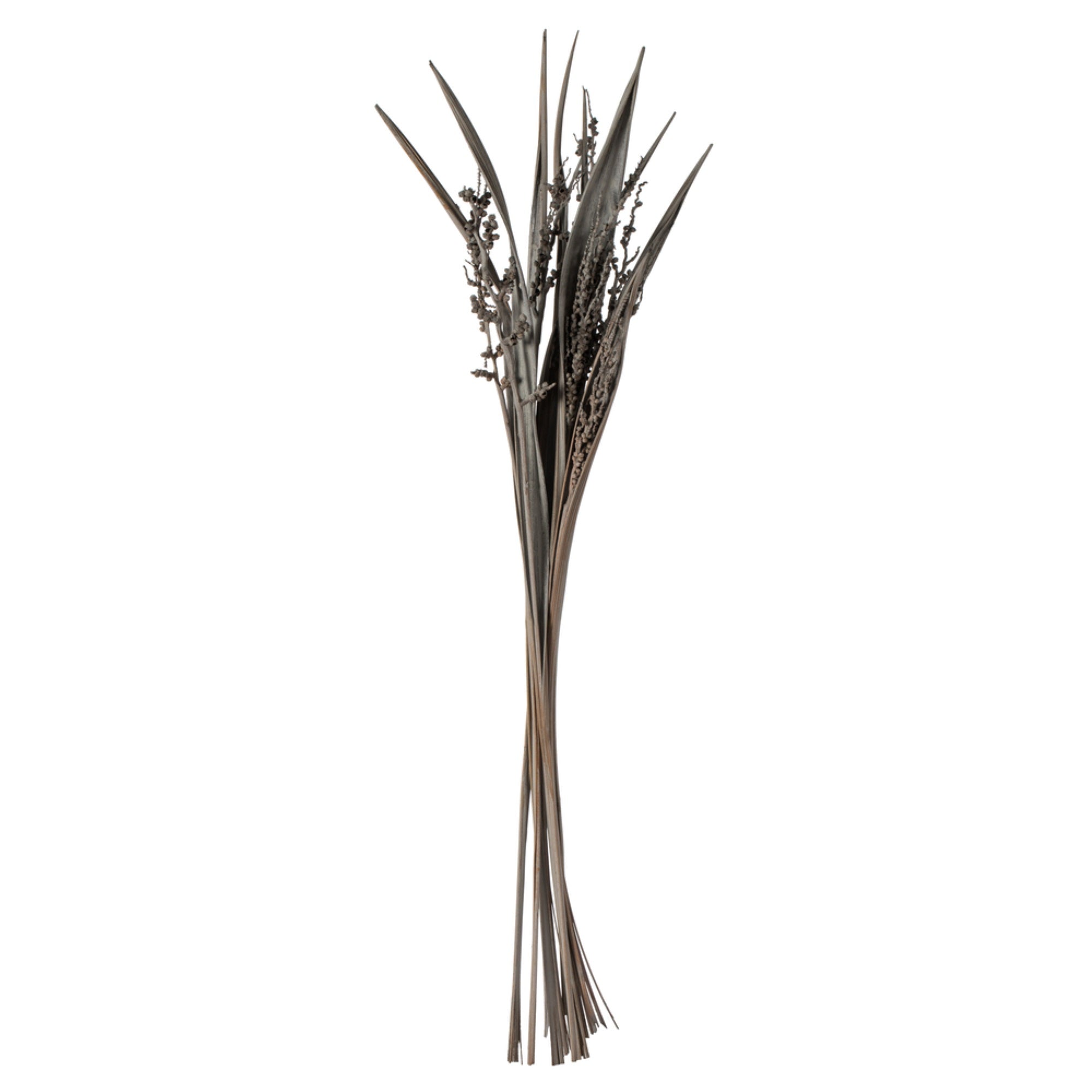 36” Gray Wash Bahia Spears 18pc Bunch