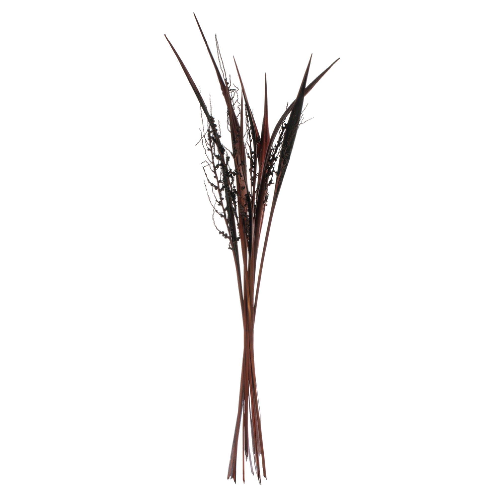 36” Dark Brown Bahia Spears 9pc Bunch
