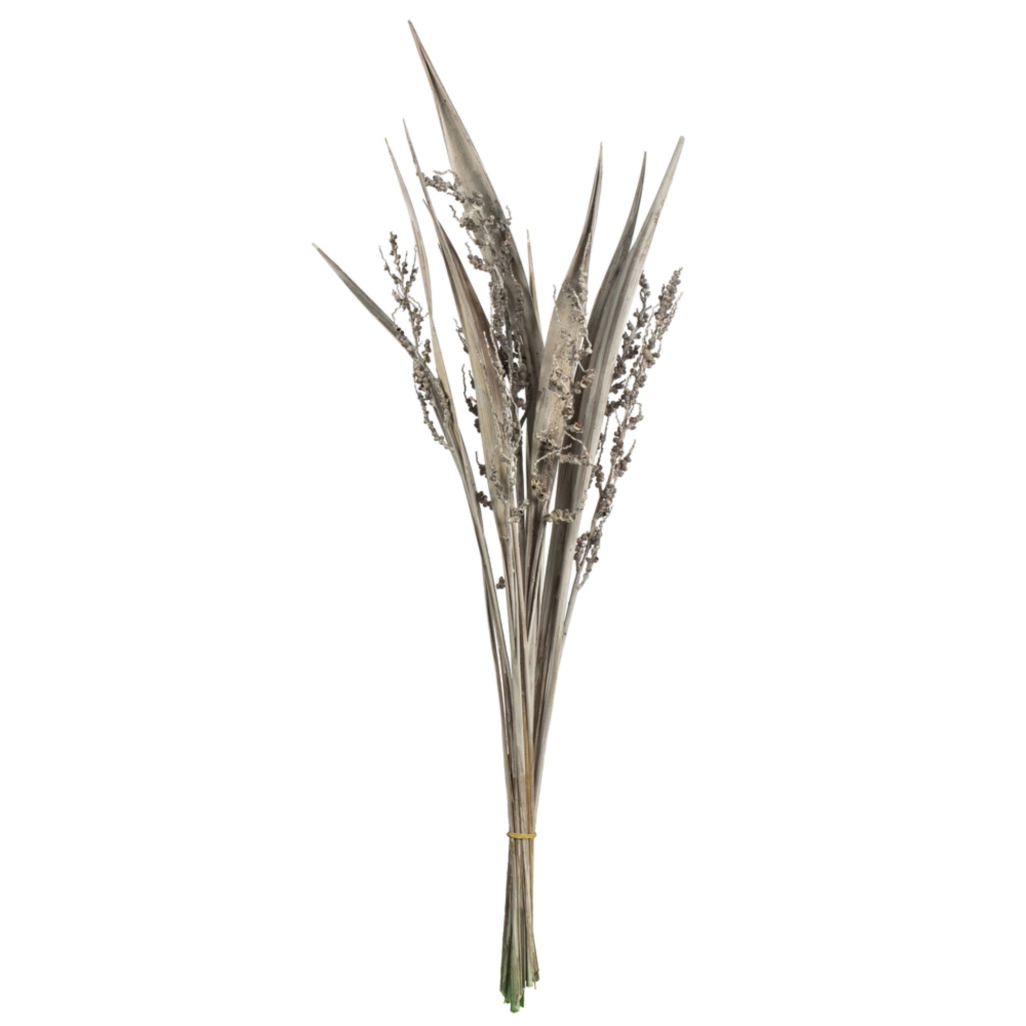 36” White Wash Bahia Spear 18pc Bunch