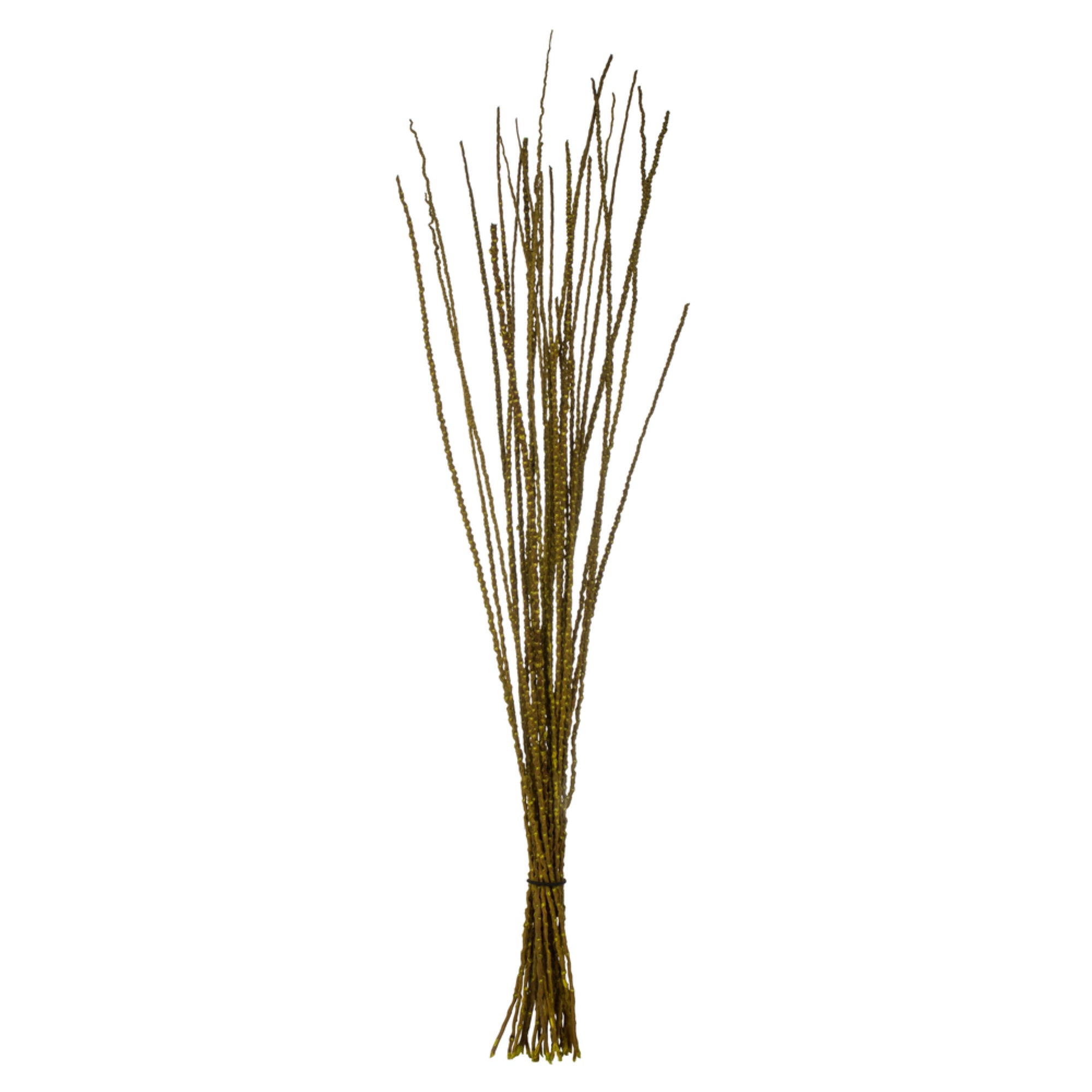 36-40” Lt Basil Caba Spines 24oz