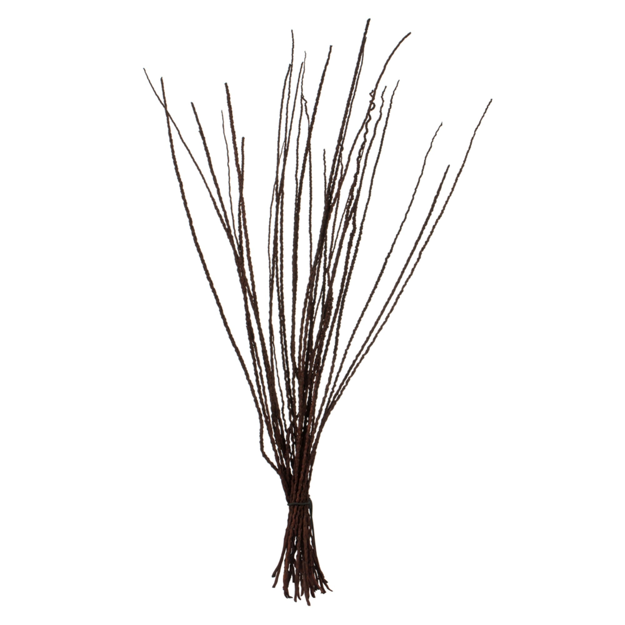 36-40” Dk Brown Caba Spines 24oz