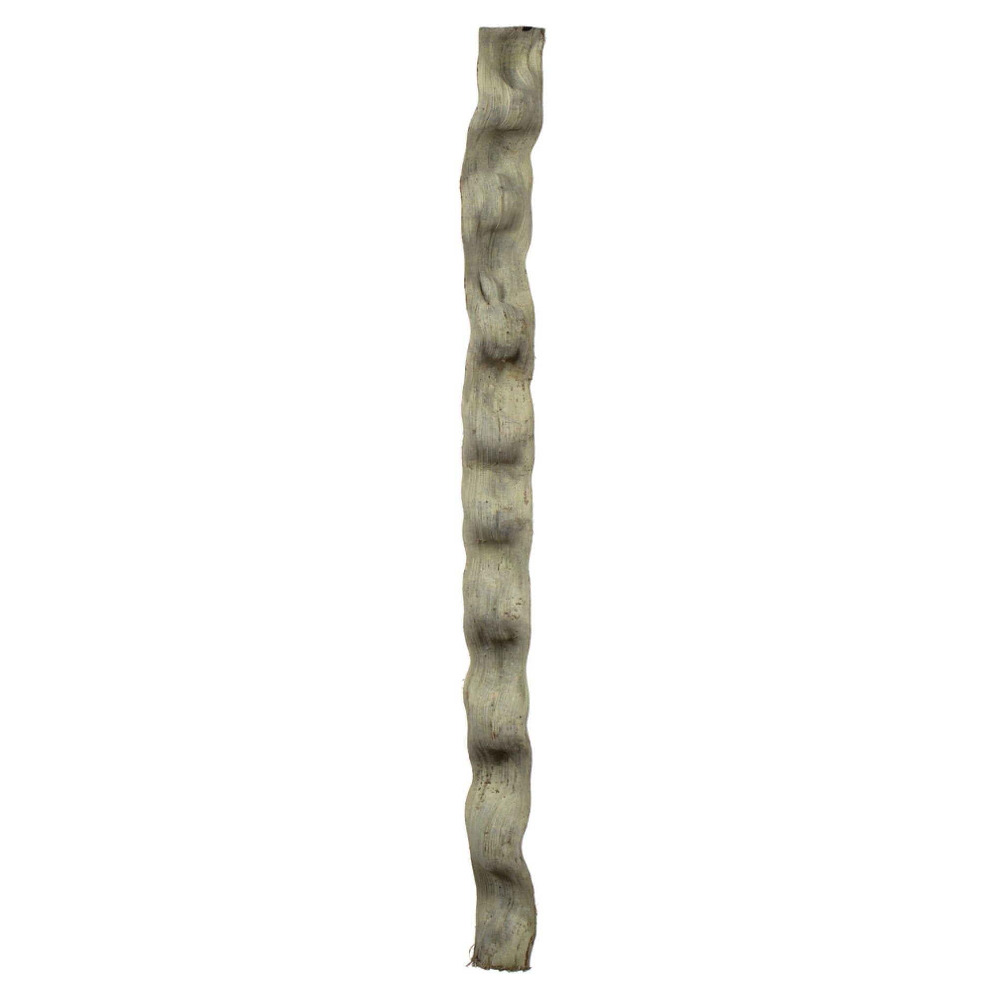 36-40” Frosted Green Cipo Escada 2/Pk