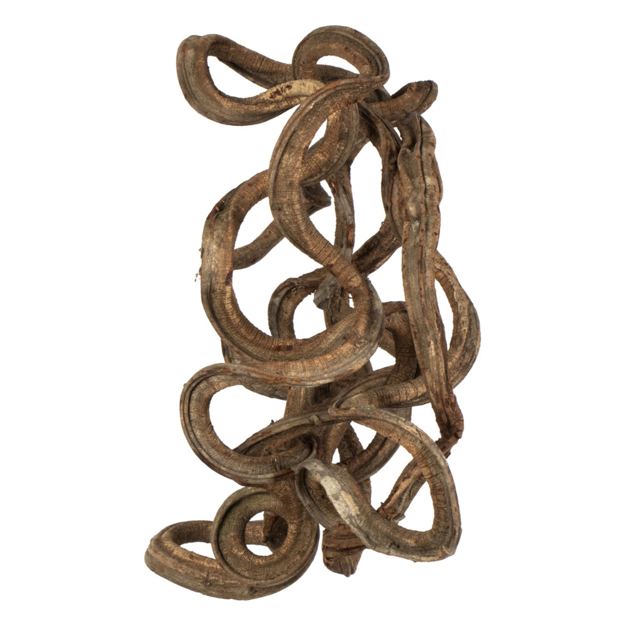 13” Natural Coiled Vine - 1Pc