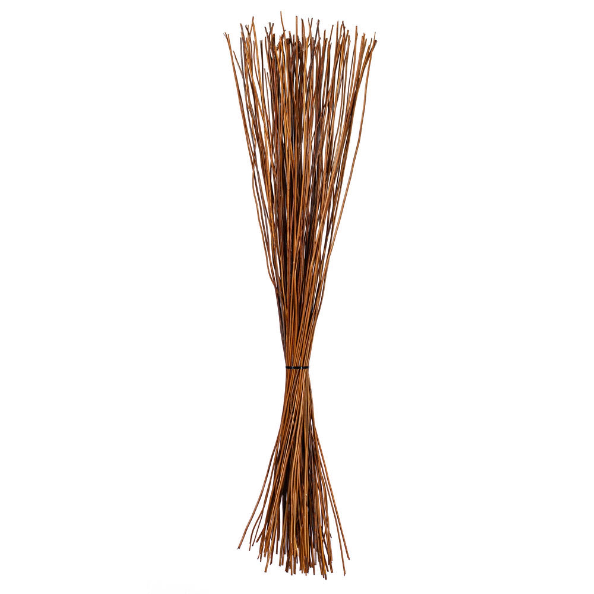 Vickerman 39” Natural Fern Reed Stem Bunch, 1.5 lb. This is a natural product, dimensions and color may vary plant to plant