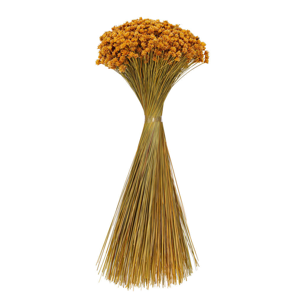 20” Dried Natural Hil Flower Bunch 16 oz