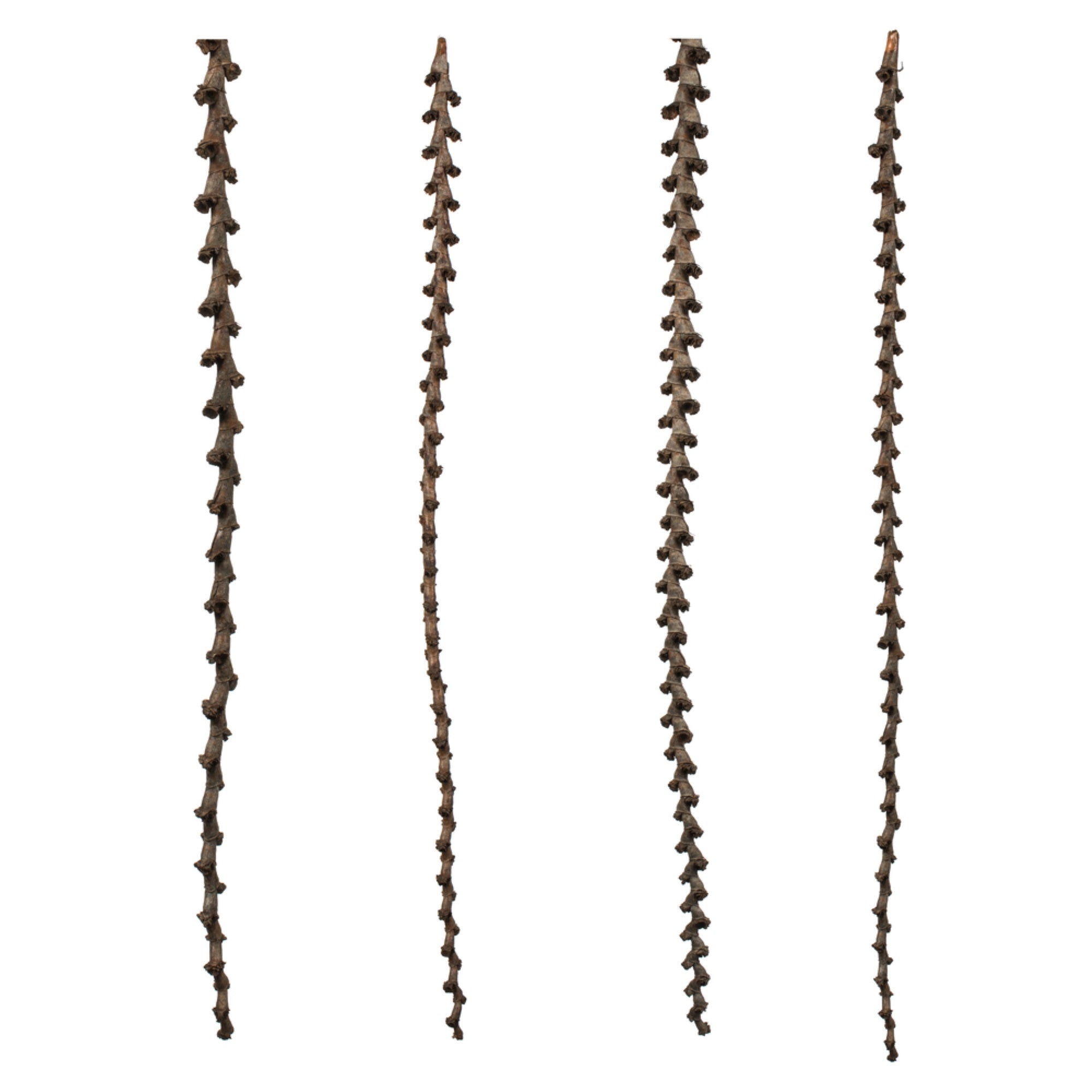 40-48” Natural Ladder Branches 7Pk