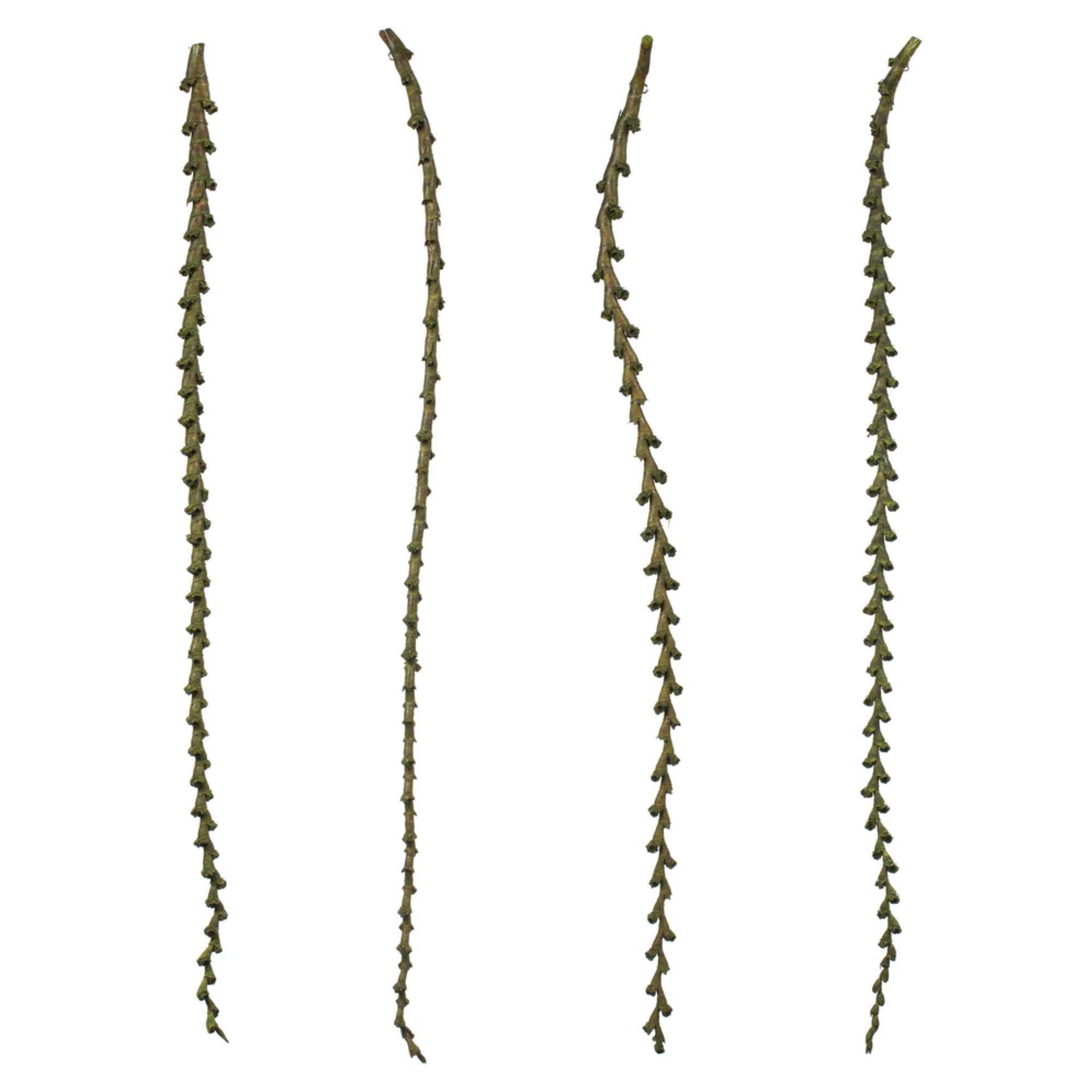 40-48” Basil Ladder Branches