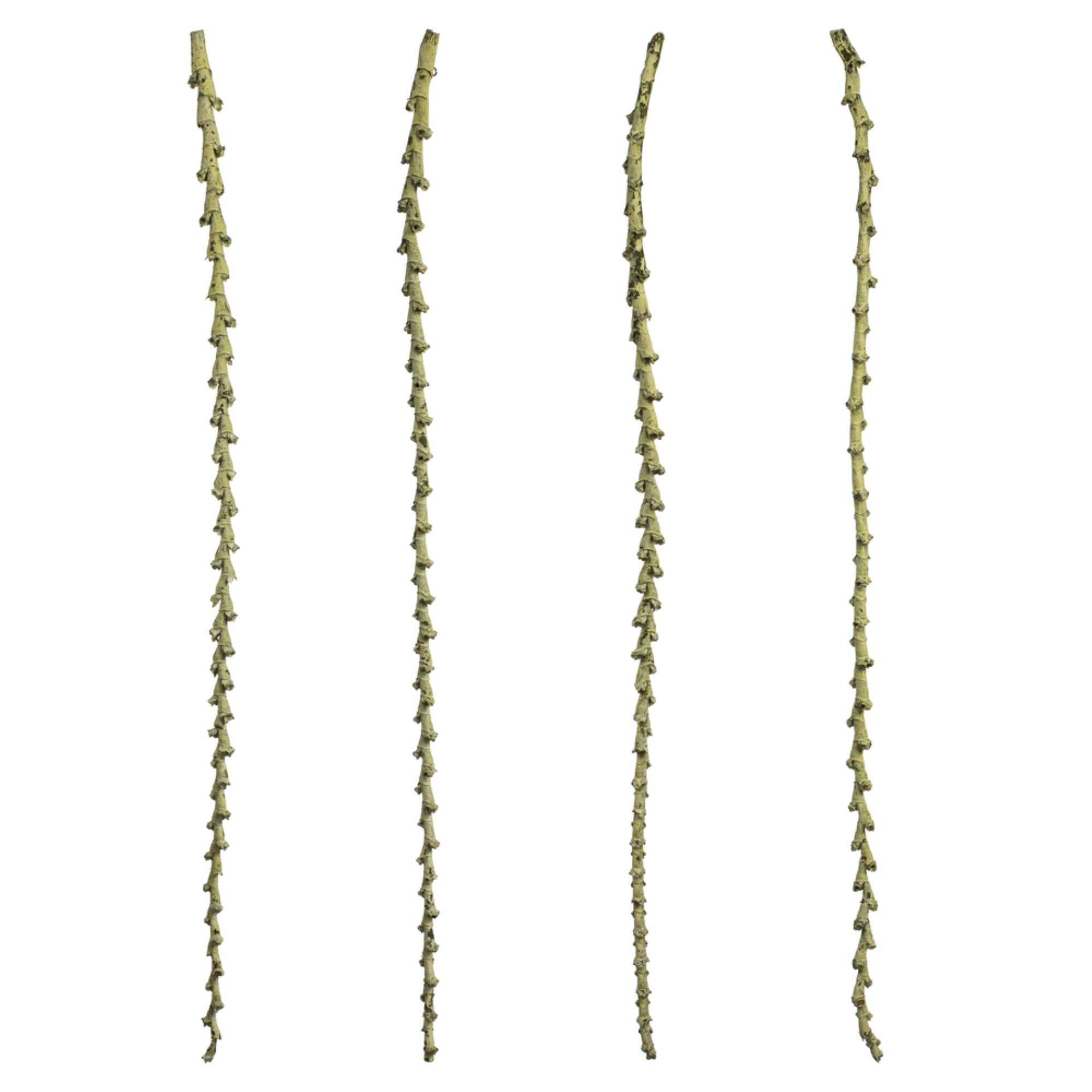 40-48” Spring Green Ladder Branches