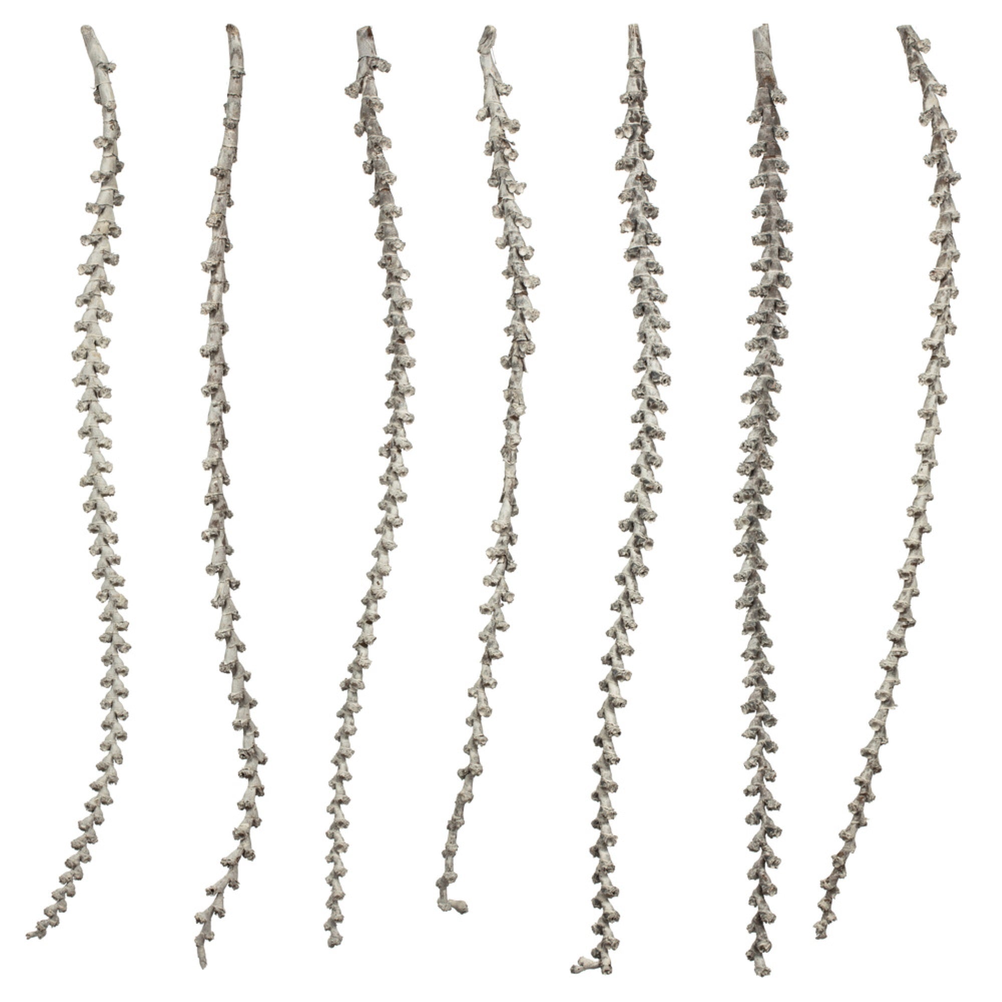 40-48” Lt White Wash Ladder Branches 9Pk