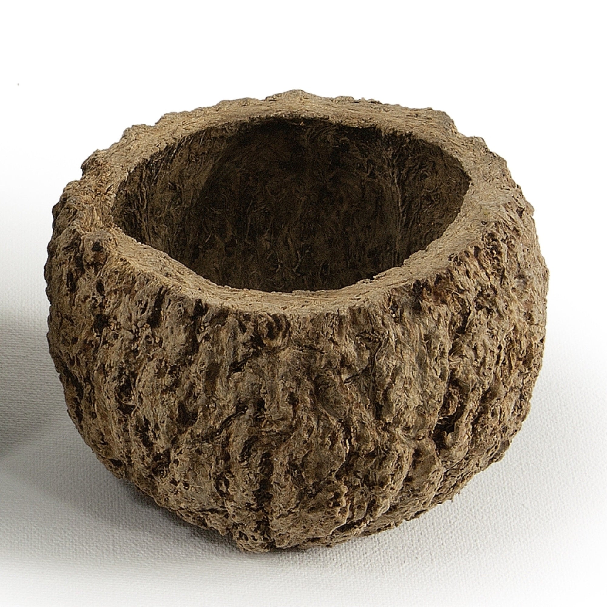 3” Natural Mayan Coconut 10/Pk
