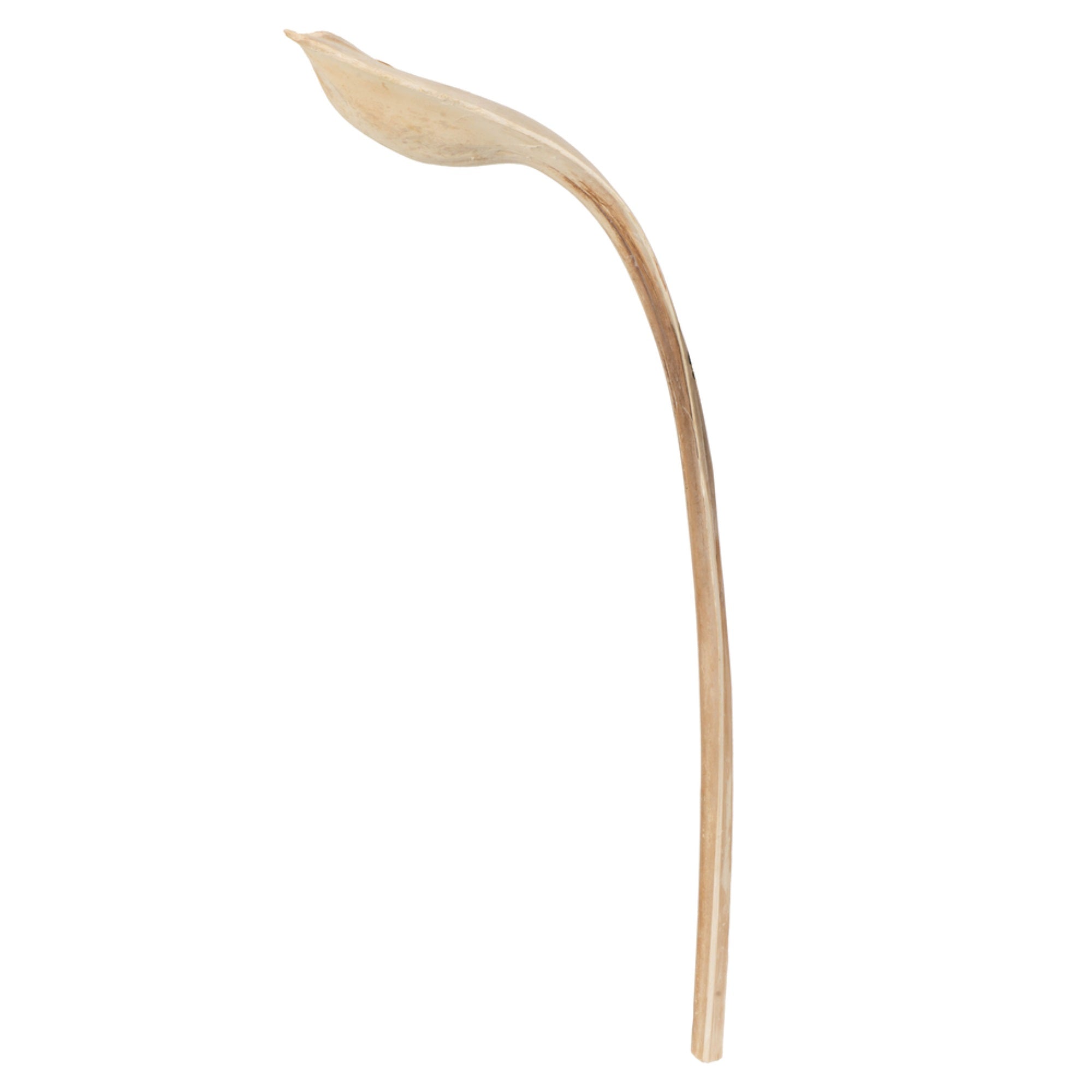 20-24” Bleached Ninja 10/Pack