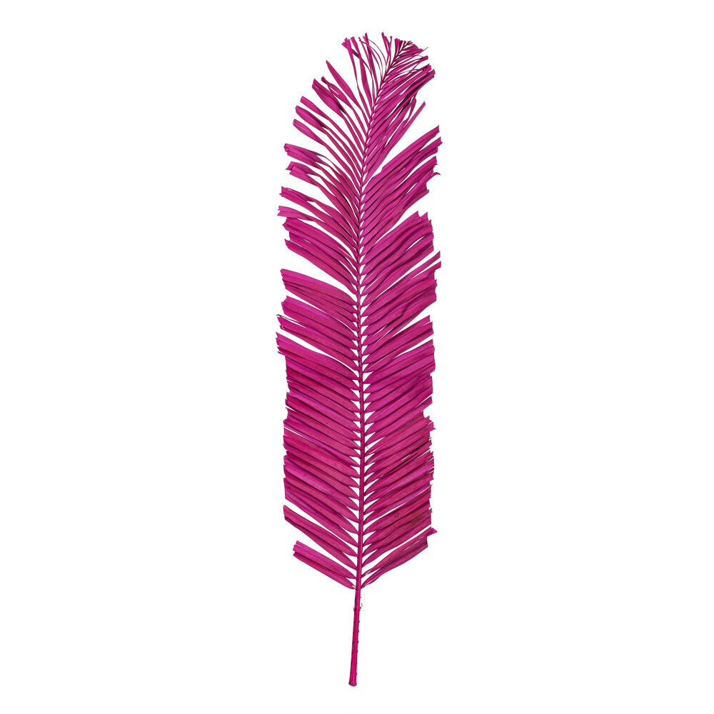 44” Raspberry Round Tip Palm Leaf 6/Bag