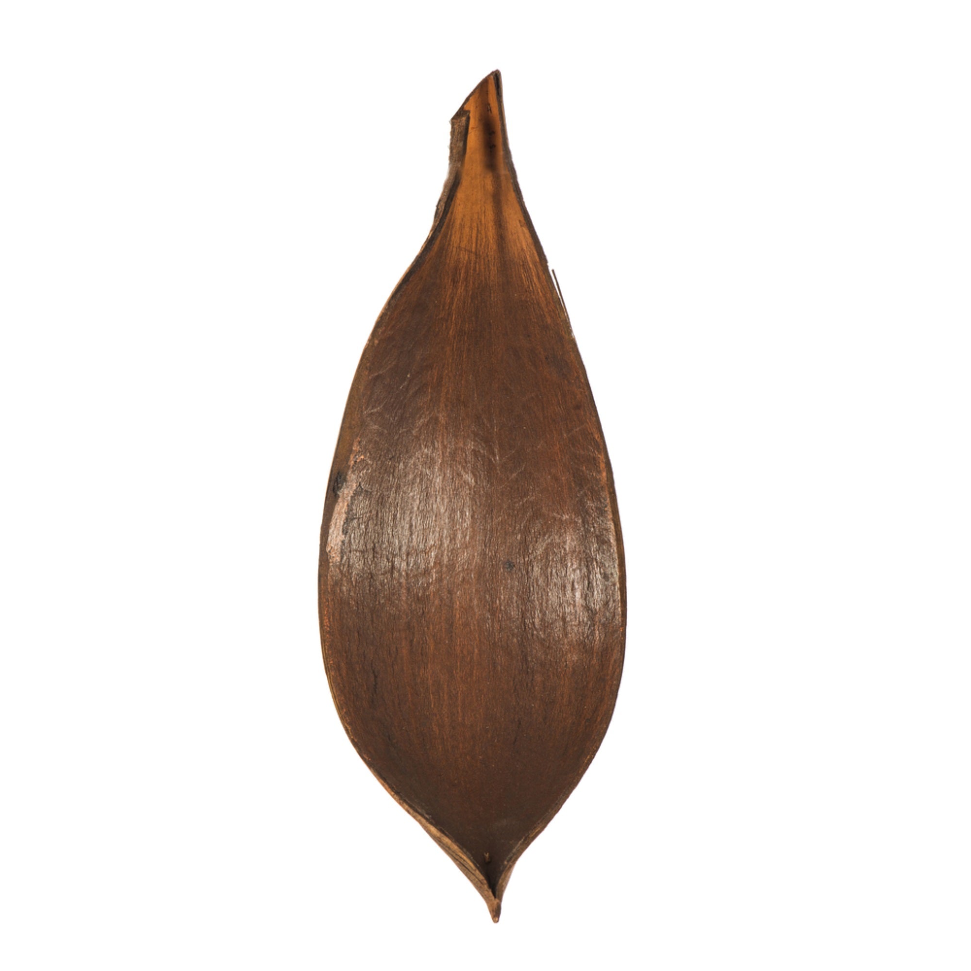 Vickerman PALM PADDLES MINI DK BROWN 15 PIECE BAG (CPD-25) Dried