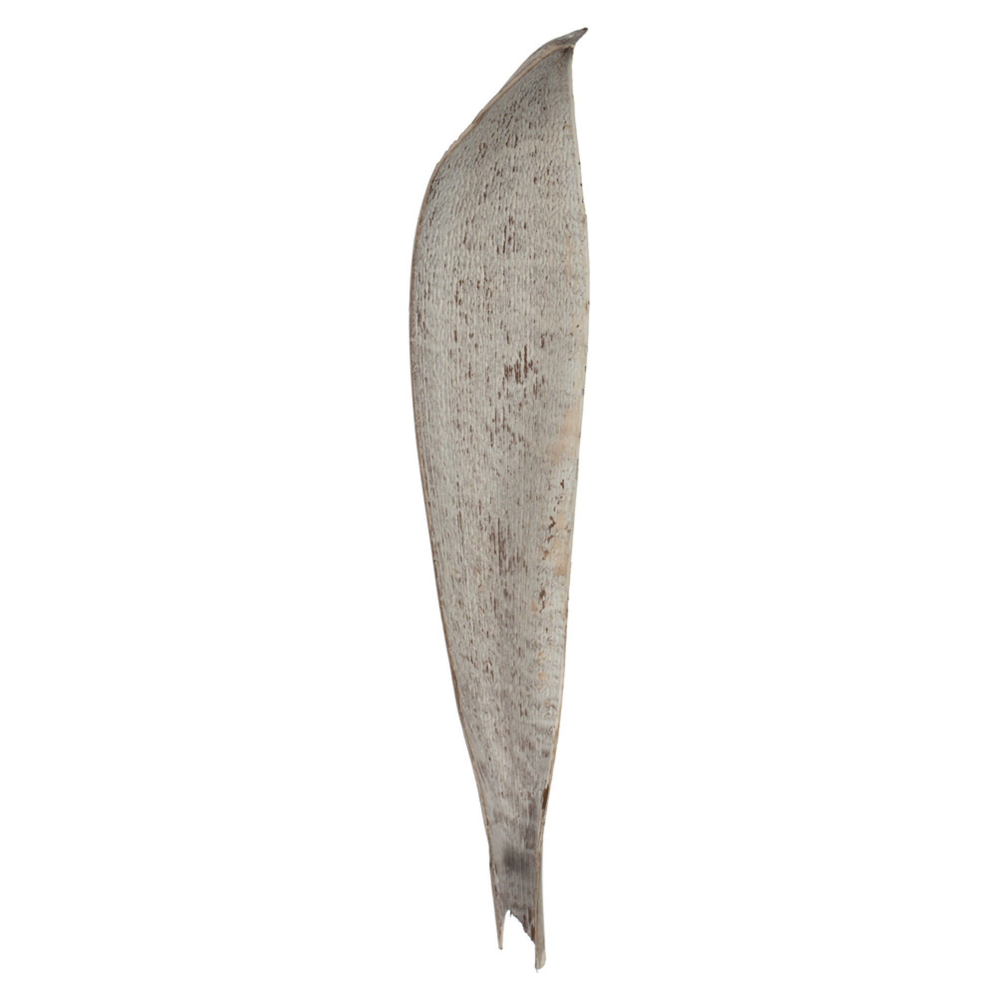 24-30” White Wash Palm Paddle 3Pk
