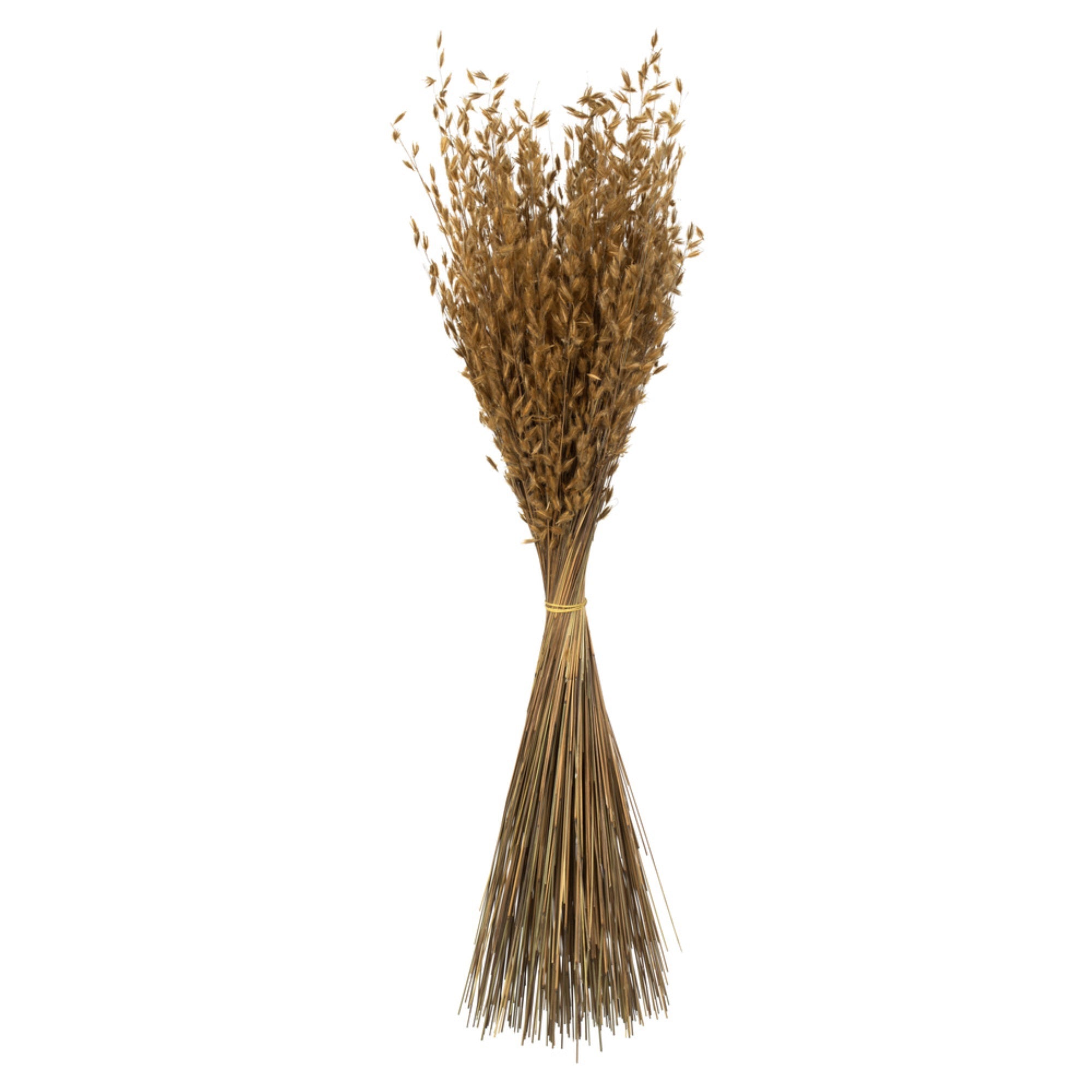 30” Natural Princess Grass 21oz