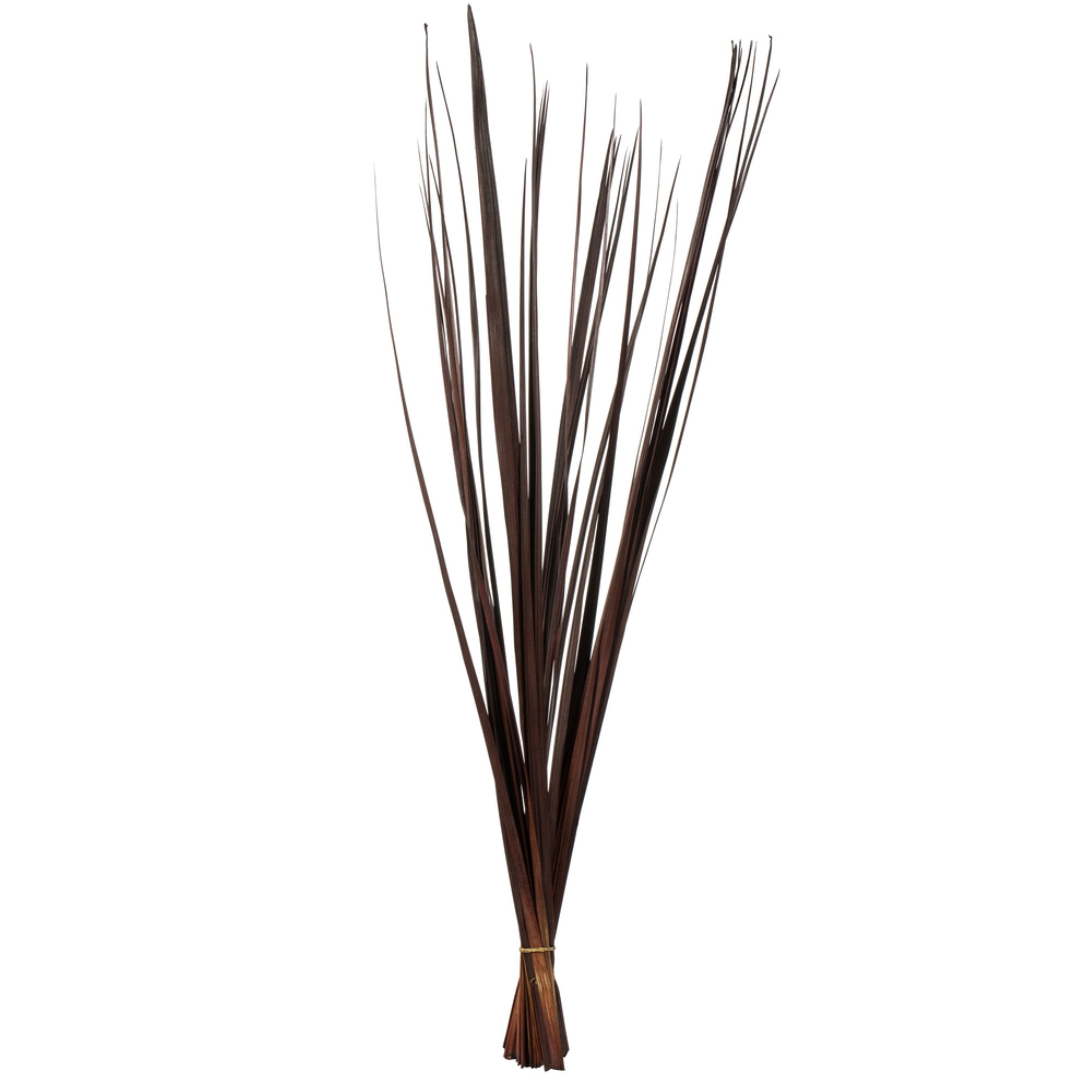 Vickerman 36-40” Brown Sable Grass 7 oz Bundle Dried