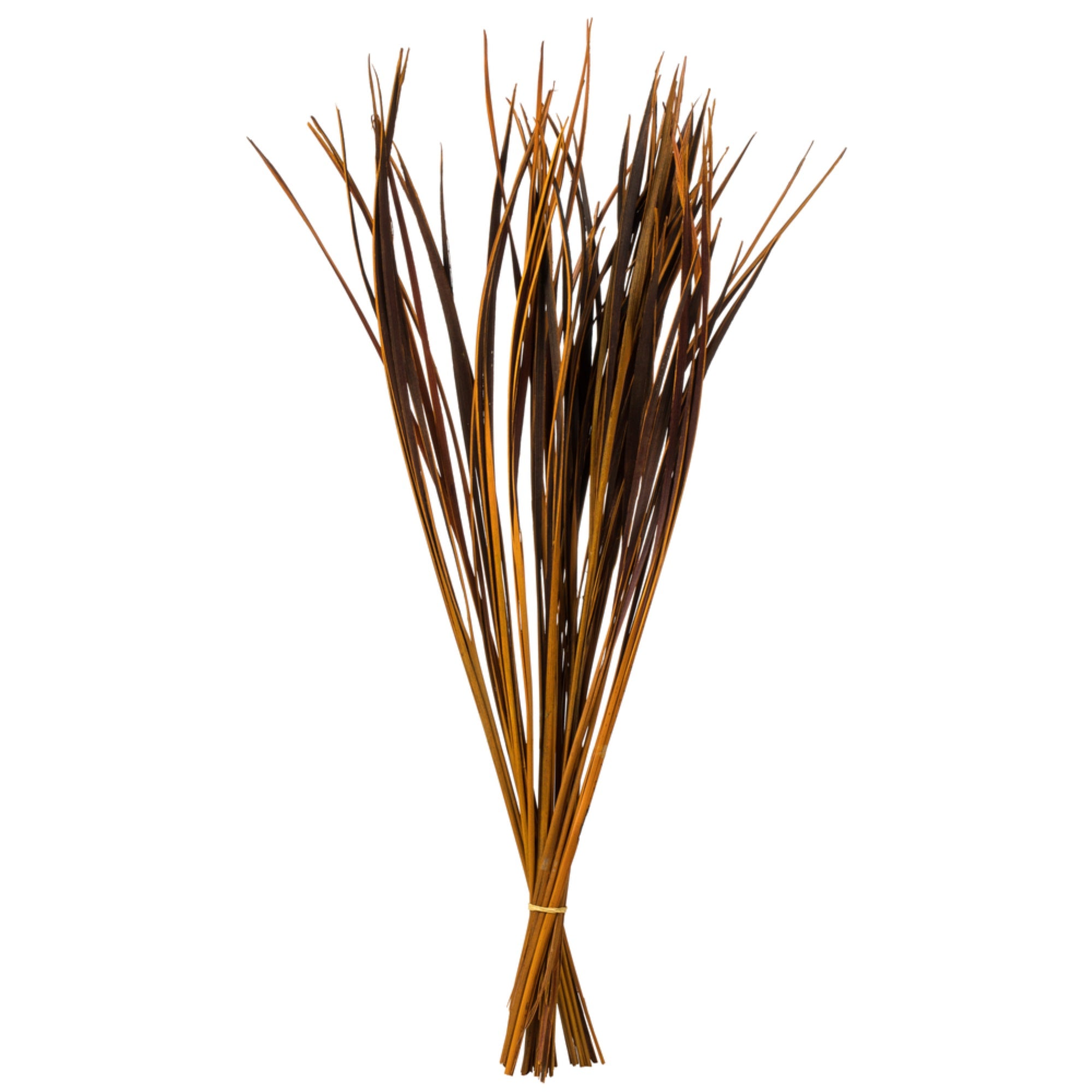 28” Aspen Gold Splinter Grass -11 oz.