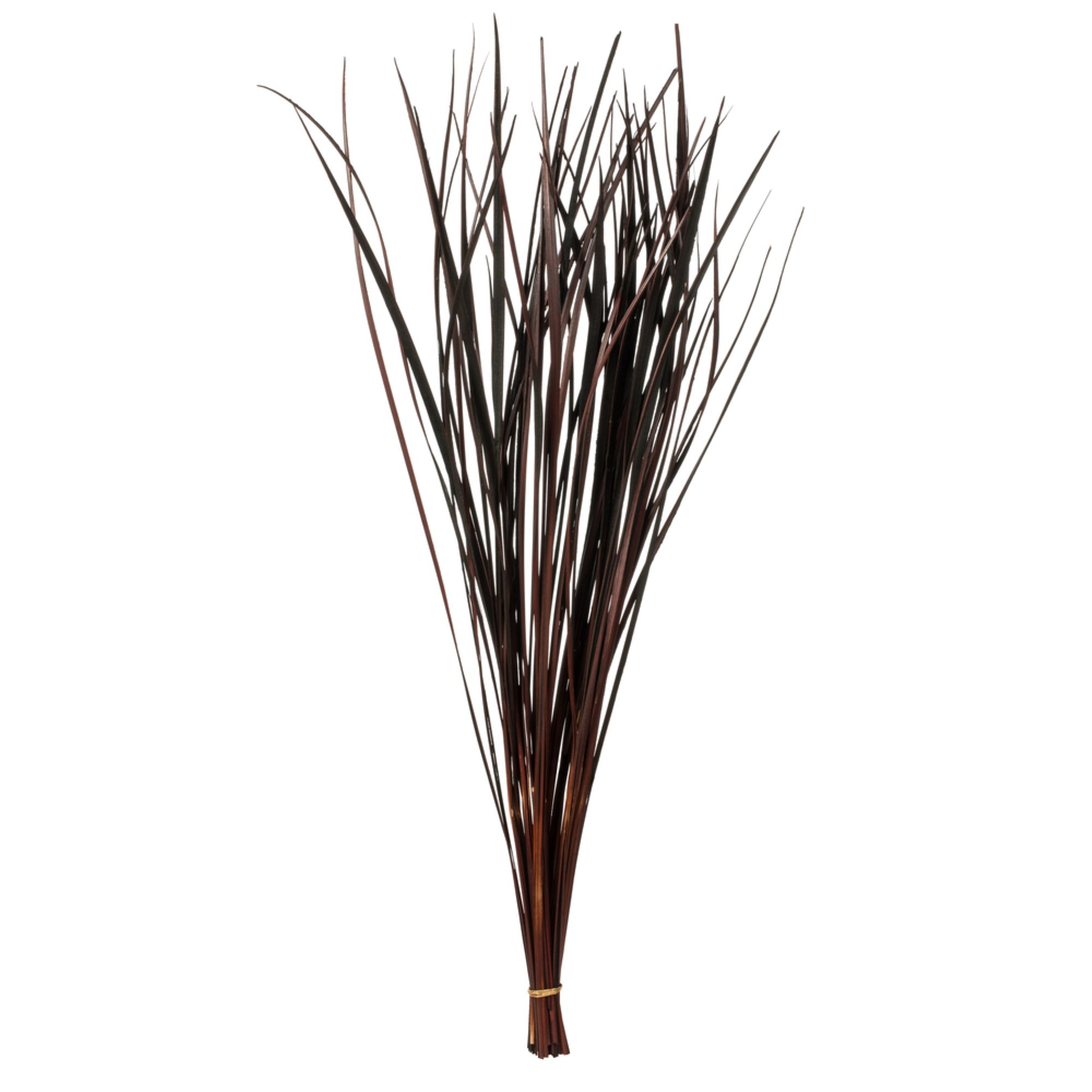 28” Brown Splinter Grass - 11 oz.