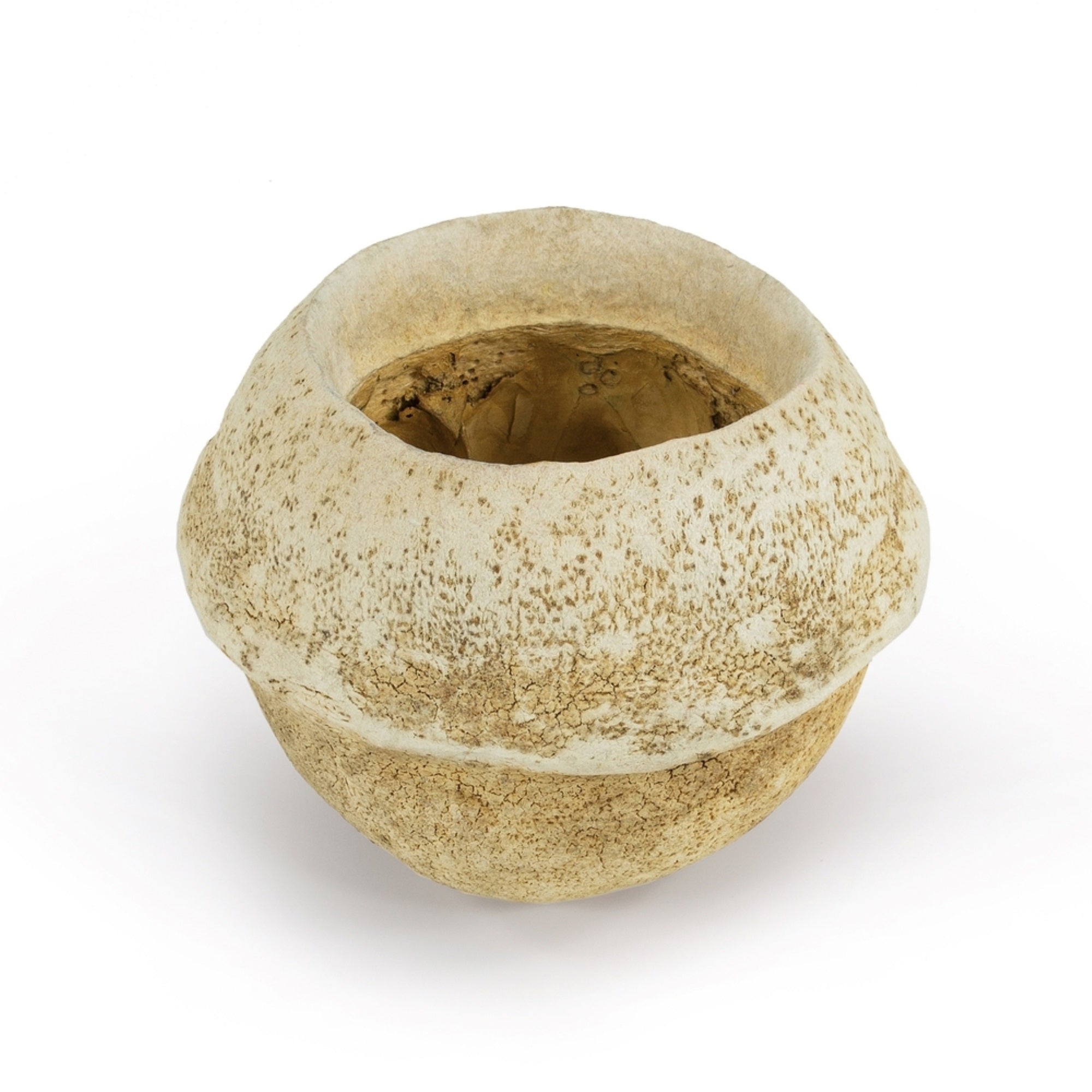 5” Bleached Sapa Pod 3/pk