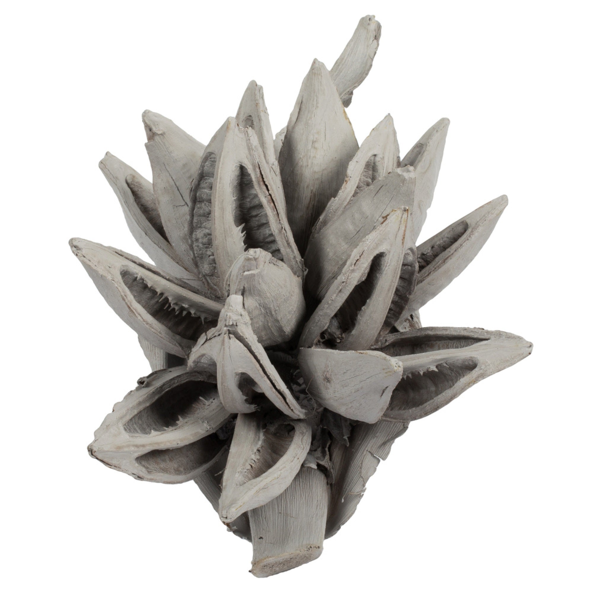 6” Grey Wash Star Pod