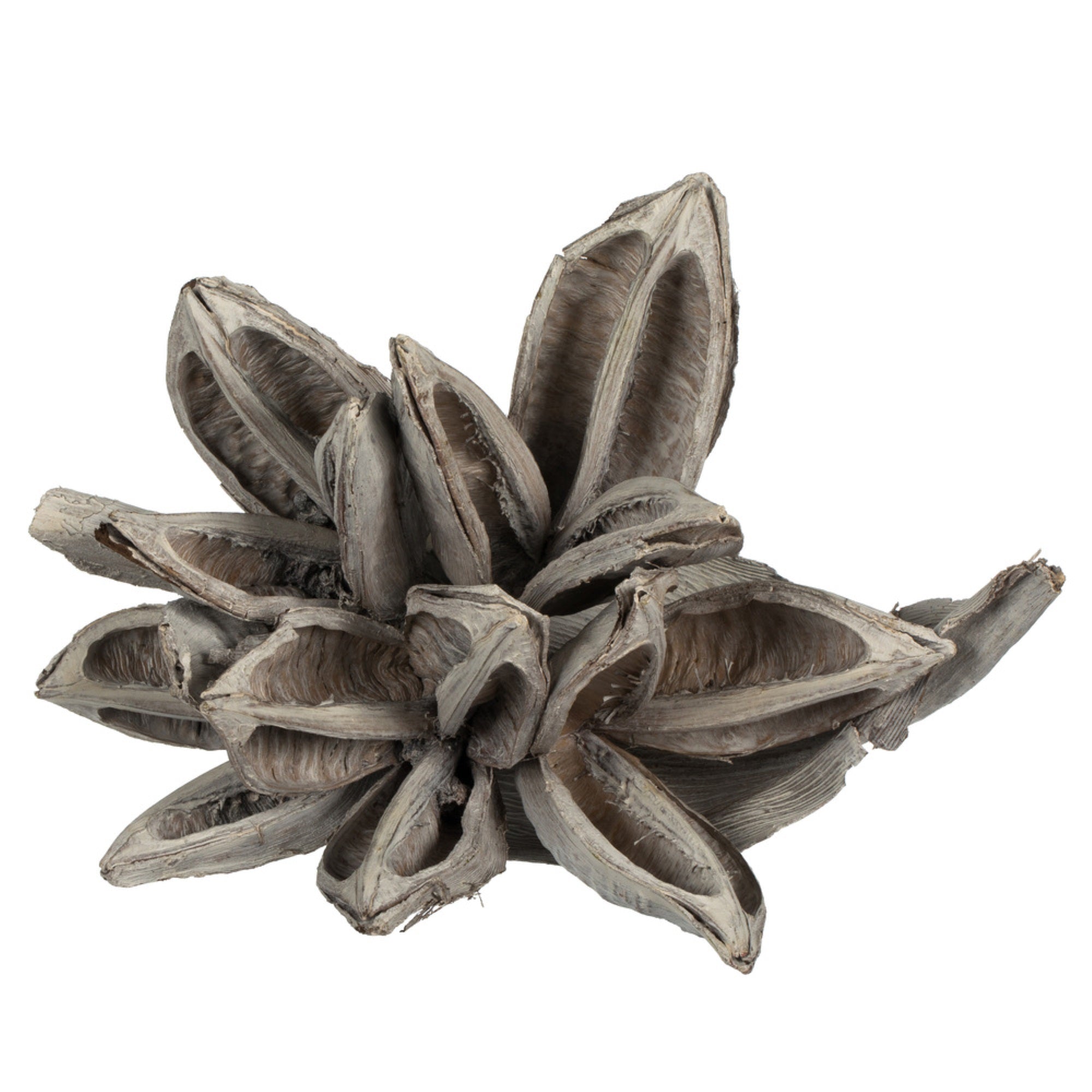 6” White Wash Star Pod