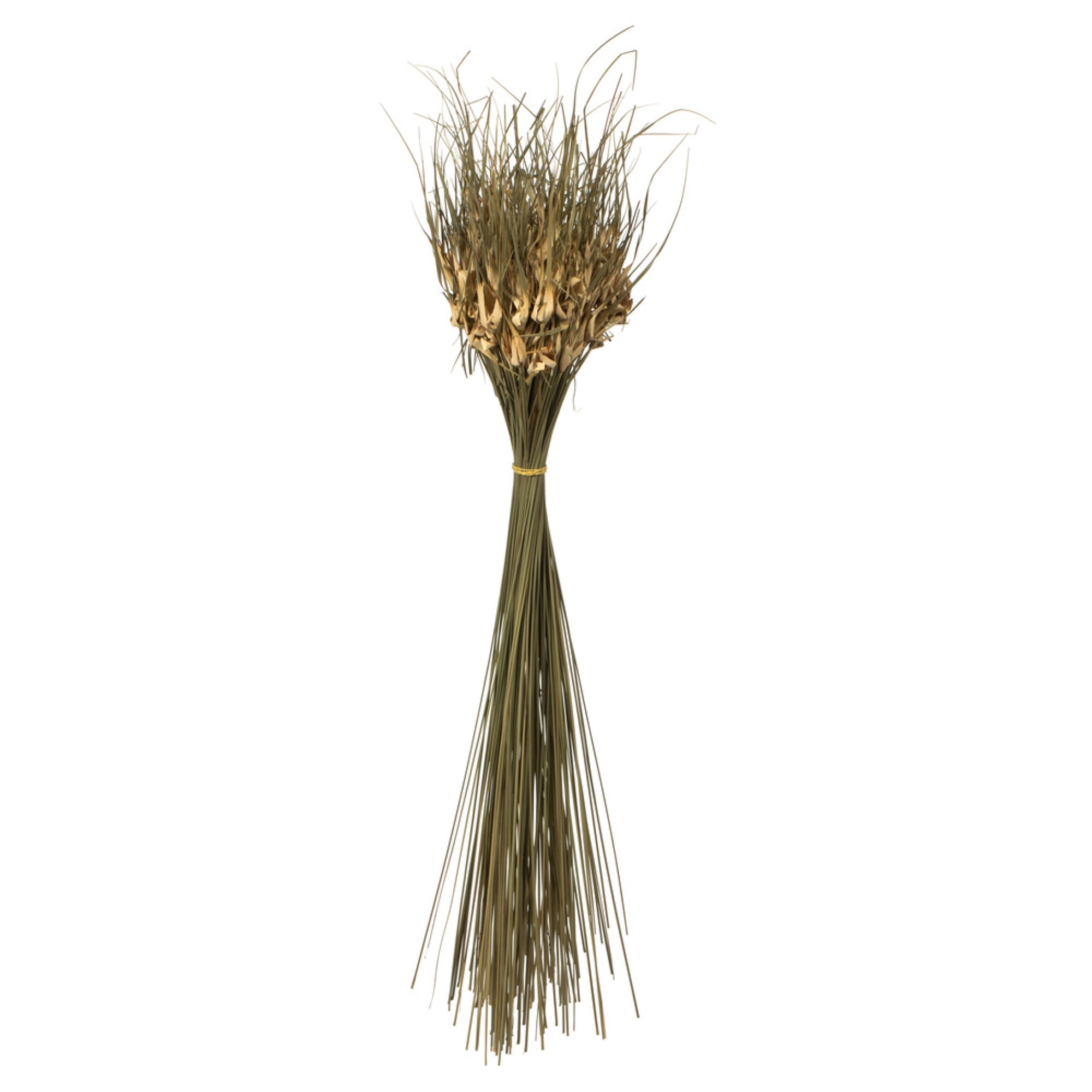 Vickerman 26” Natural Tulip Star 16oz (4 -4oz Bundles) Dried