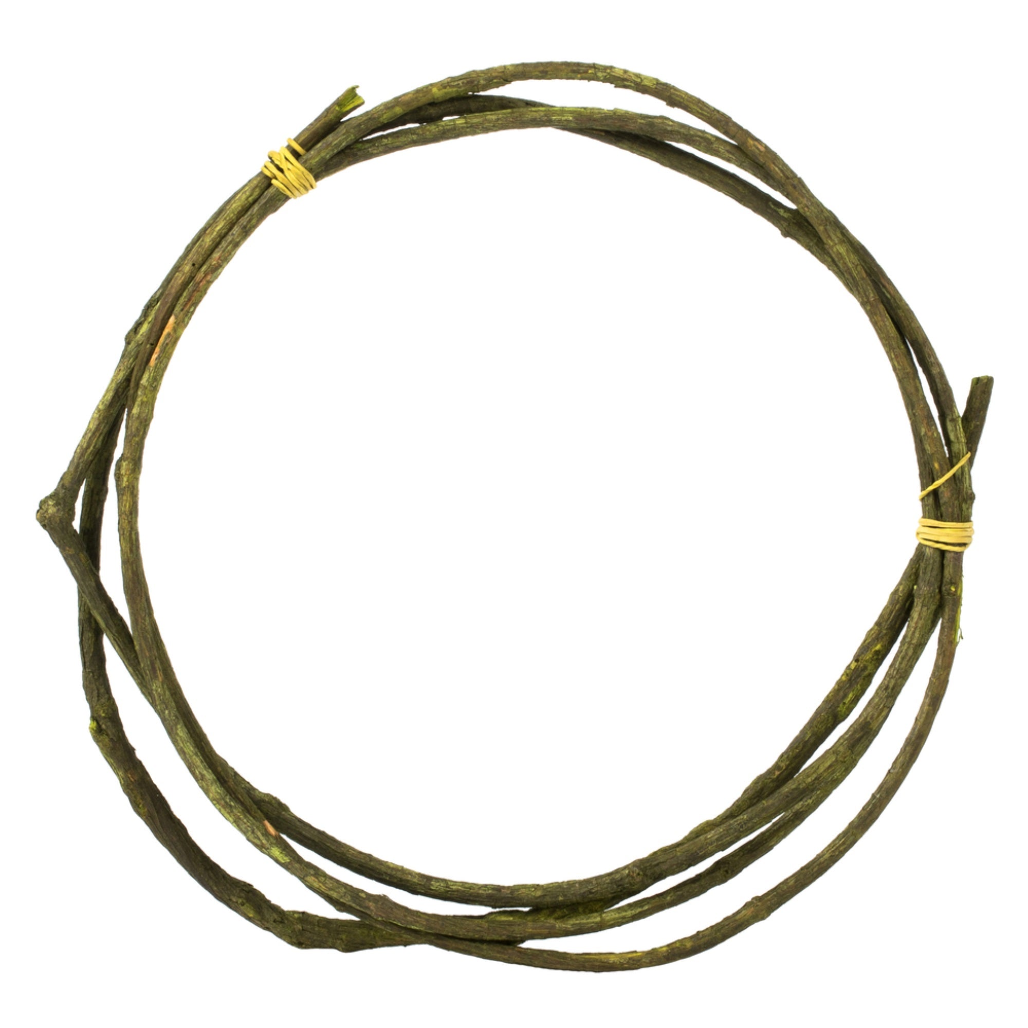Vickerman 95-100” Basil Tranca Vine Coil 1 coil Dried