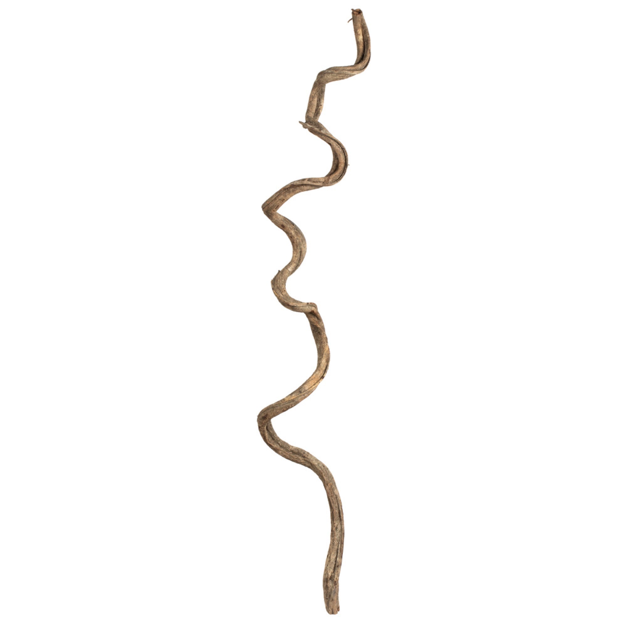 38-45” Natural Twisted Vine - 2Pc