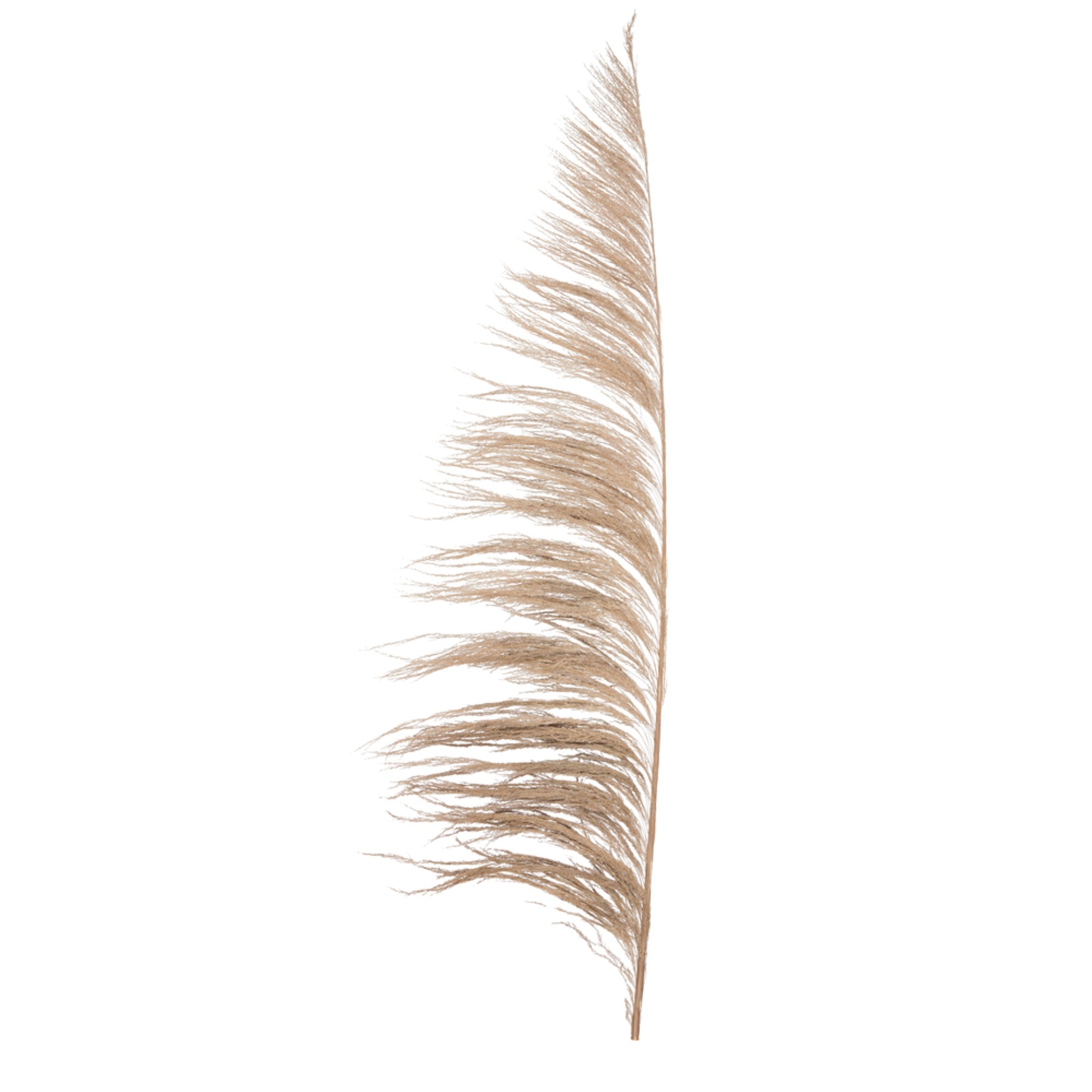 Vickerman 60-72” Natural Uva Palm Spray standing between 60 to 72 inches tall. Pack of 10.