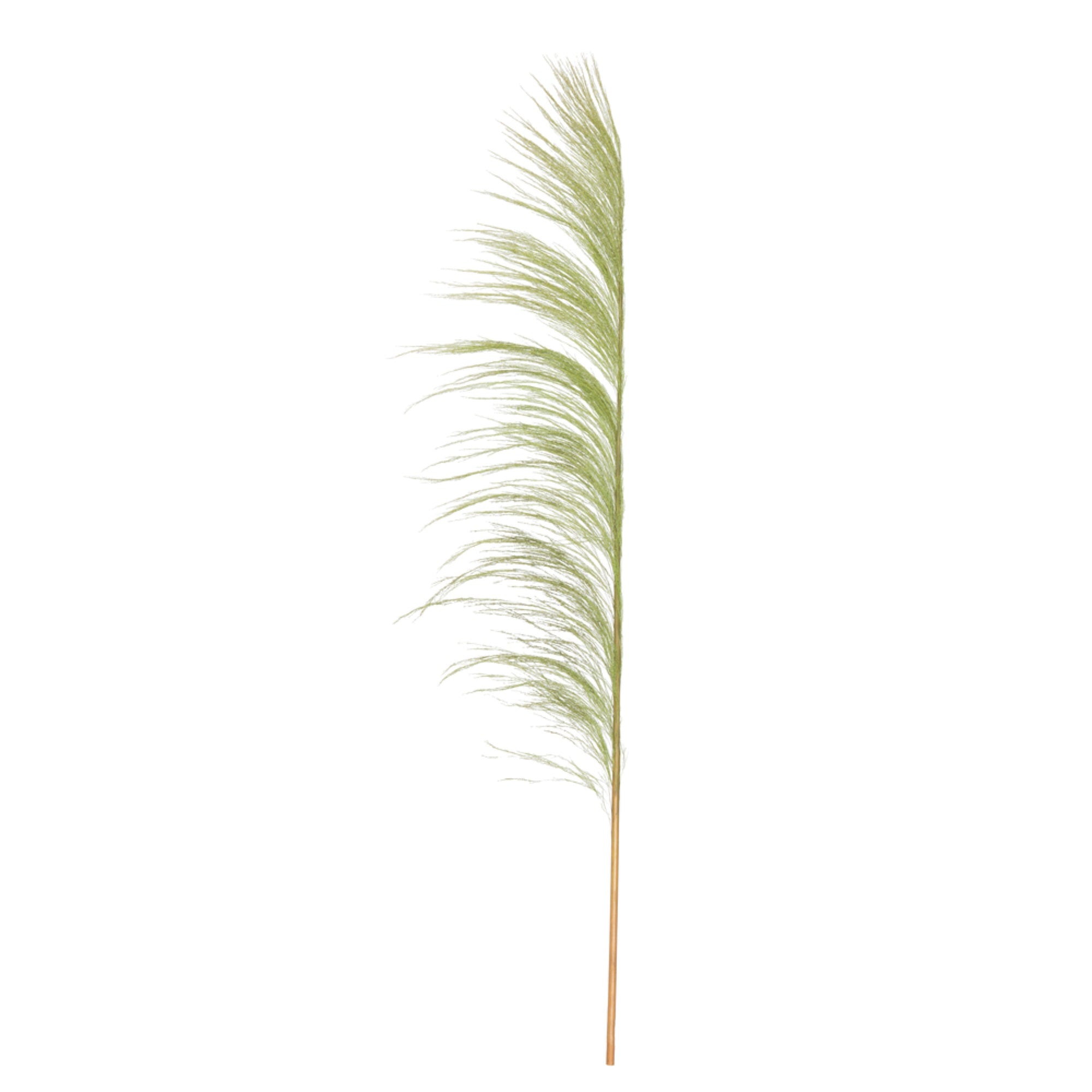 Vickerman 60-72” Basil Uva Palm Spray standing between 60 to 72 inches tall. Pack of 10.