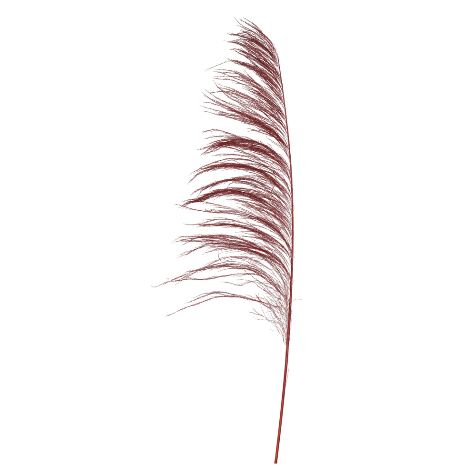 Vickerman 60-72” Red Uva Palm Spray standing between 60 to 72 inches tall. Pack of 10.