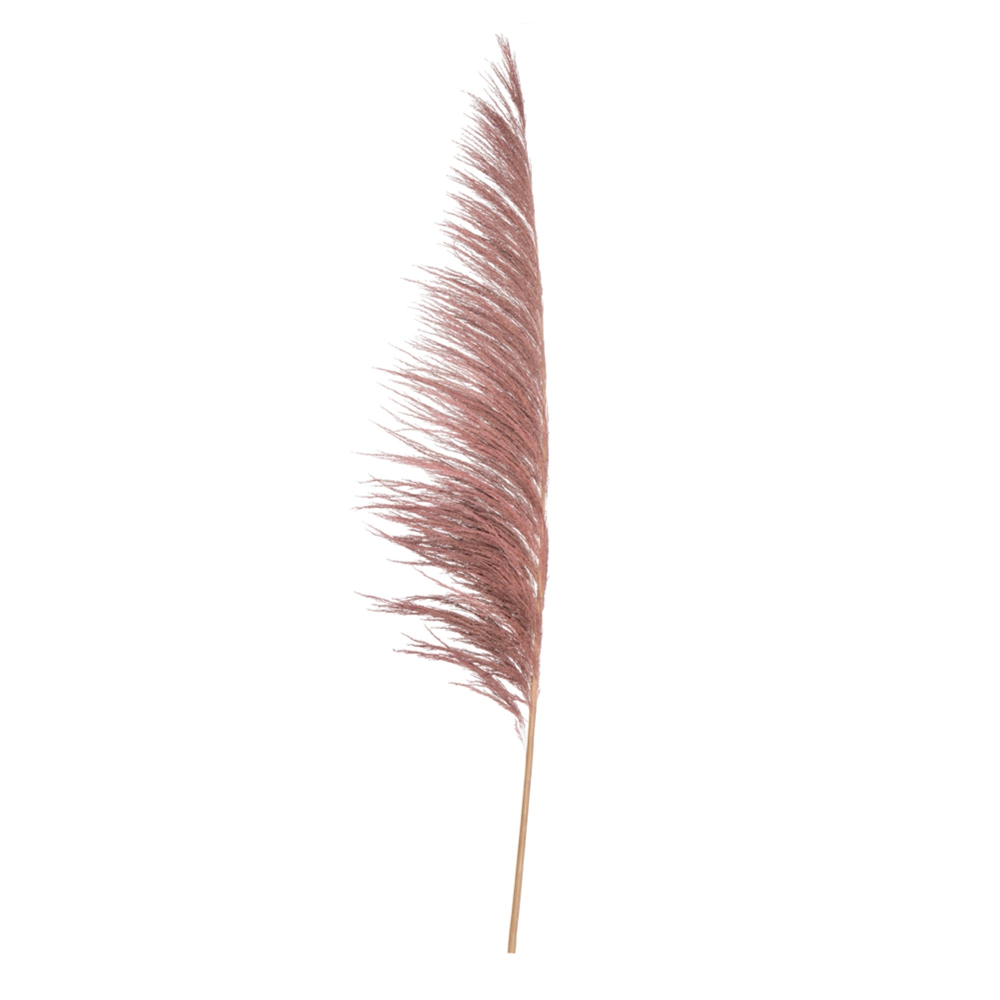 Vickerman 60-72” Dusty Rose Uva Palm Spray standing between 60 to 72 inches tall. Pack of 10.