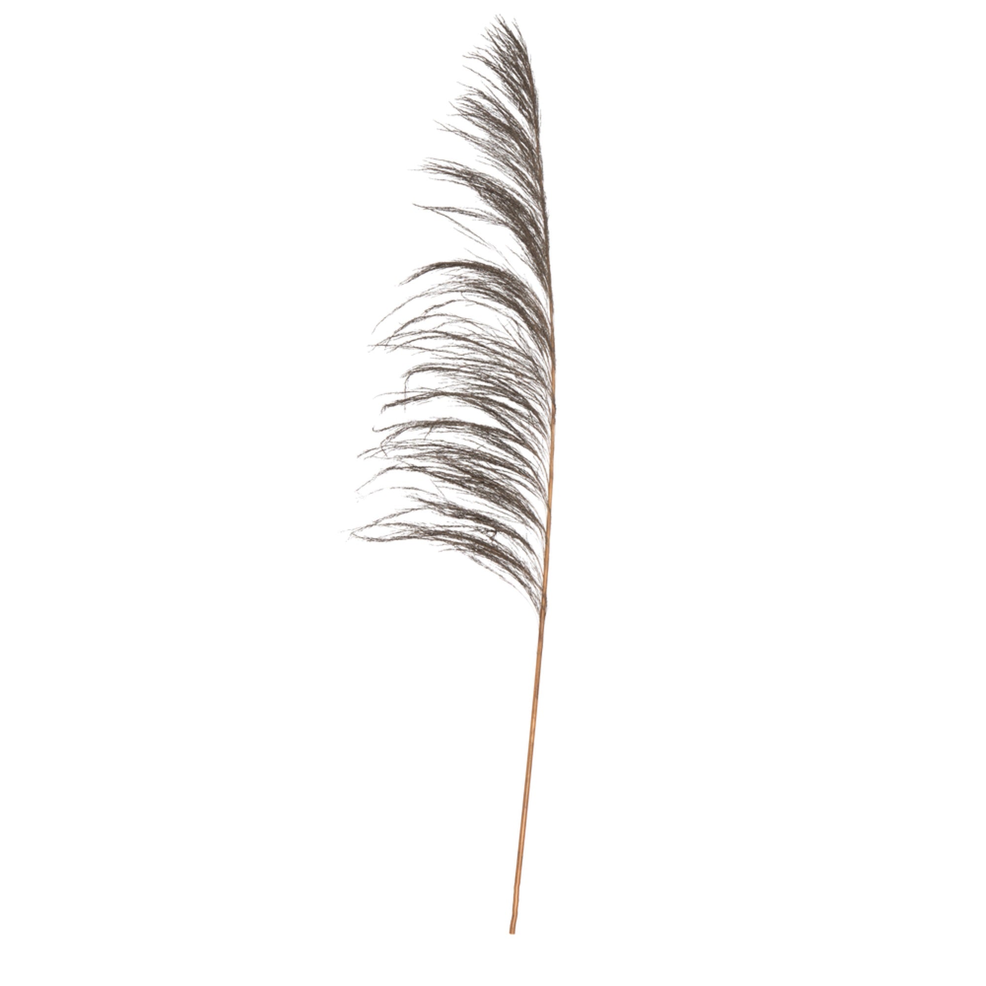 Vickerman 60-72” Mocha Uva Palm Spray standing between 60 to 72 inches tall. Pack of 10.