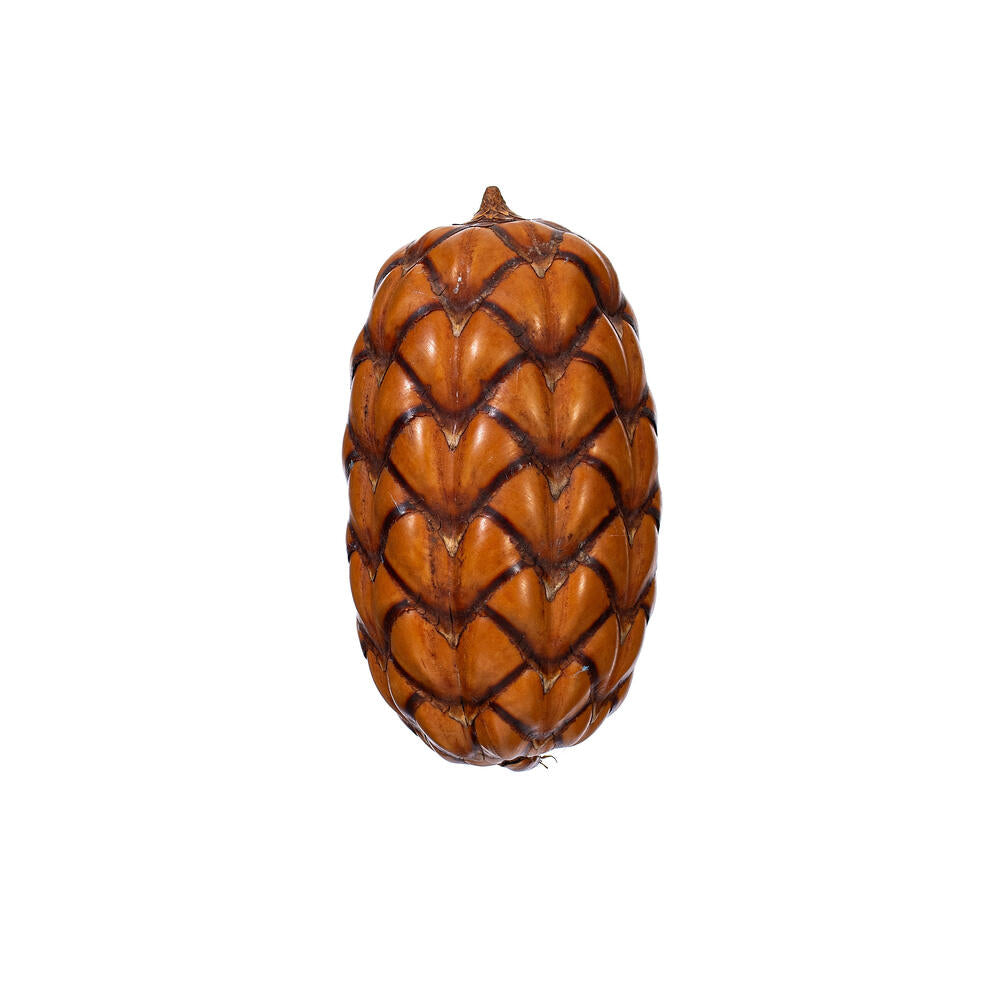 2”-3” Natural Uxi Pod 24/Bag