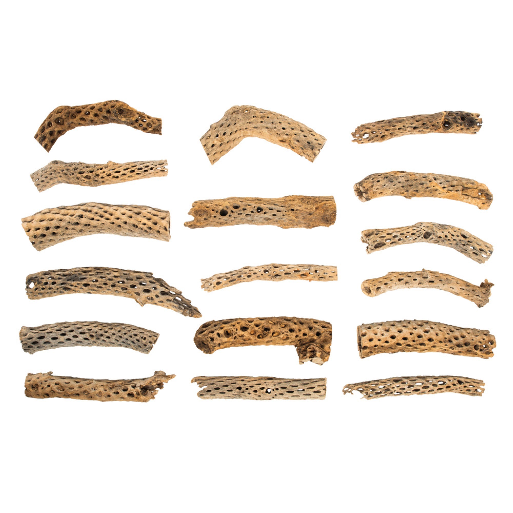 4 -18” Cholla Odds and Ends 1.5CF Cs