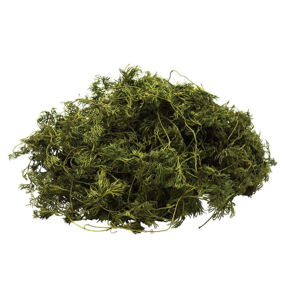 Vickerman Green Fountain Vine - 1.75lbs/Box - H4FNT112