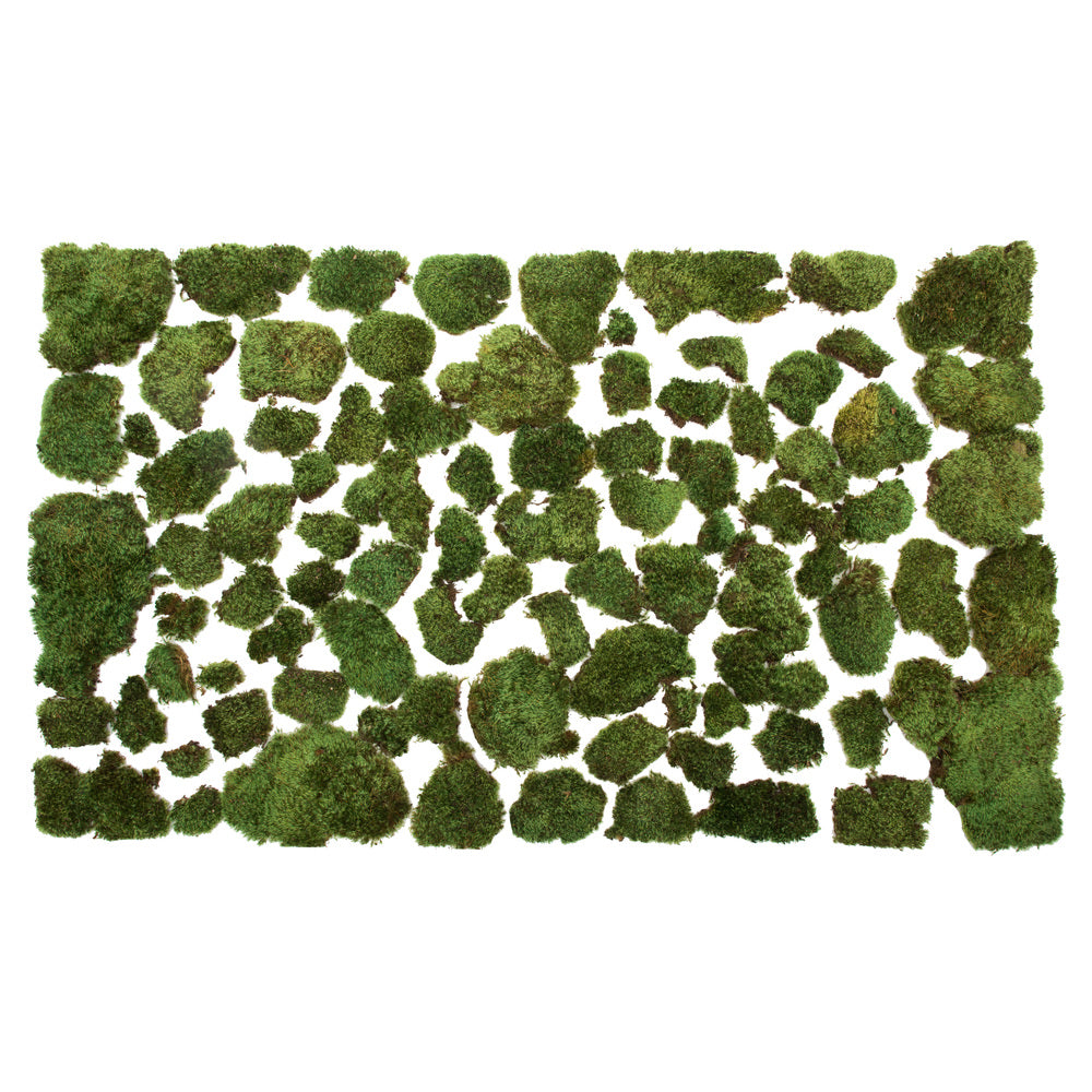Vickerman Premium Green Mood Moss - 2.75 lbs/Bx - H4MMP150
