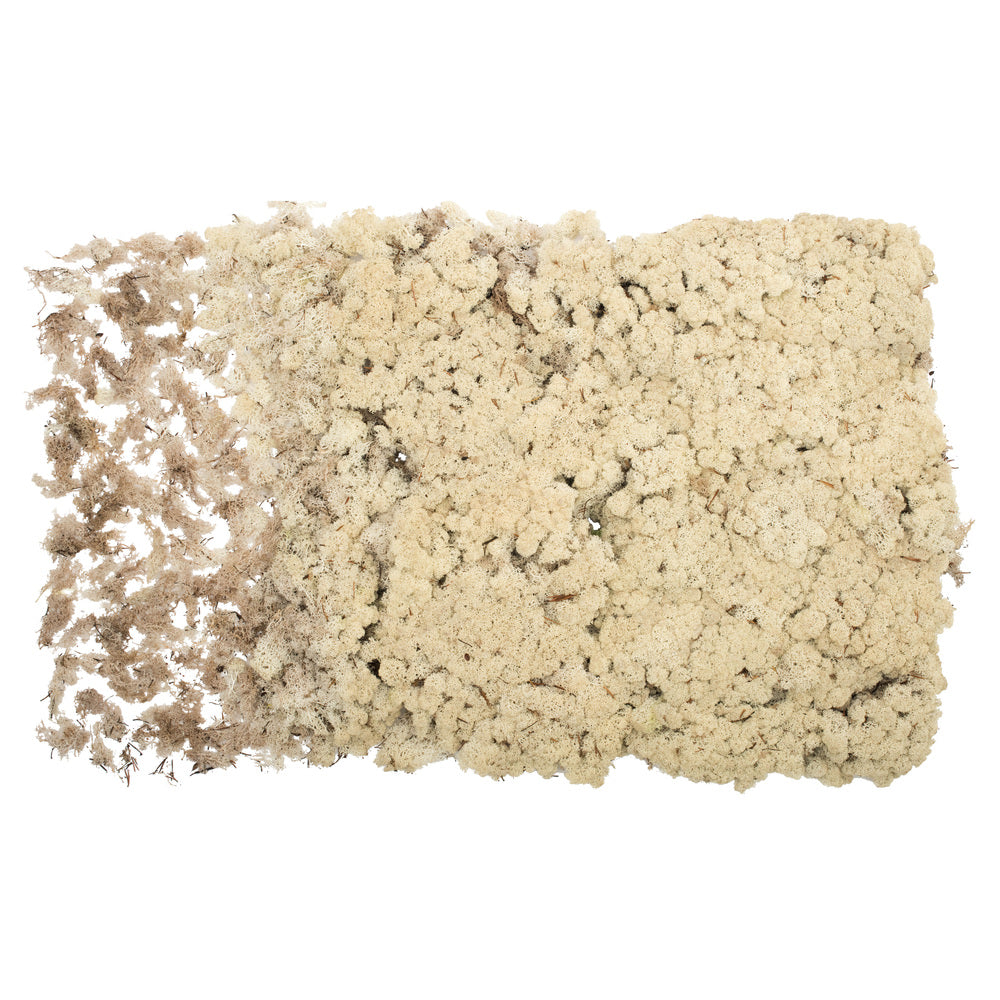 Vickerman Natural Reindeer Moss - 8.8 lbs/Box - H4RDM000